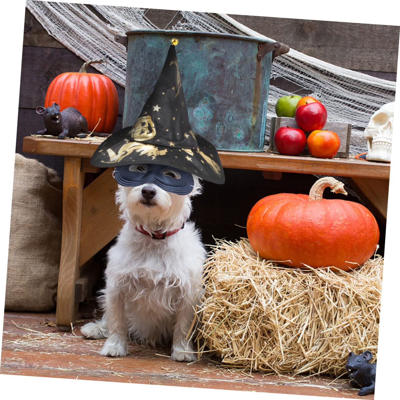 FRCOLOR 5 Set Stampato Mantello Da Mago Costume Per Il Gatto Mantello Da Strega Piccolo Cane Halloween Costume Del Cane Vestiti Dell'Animale Domestico Di Halloween o Del