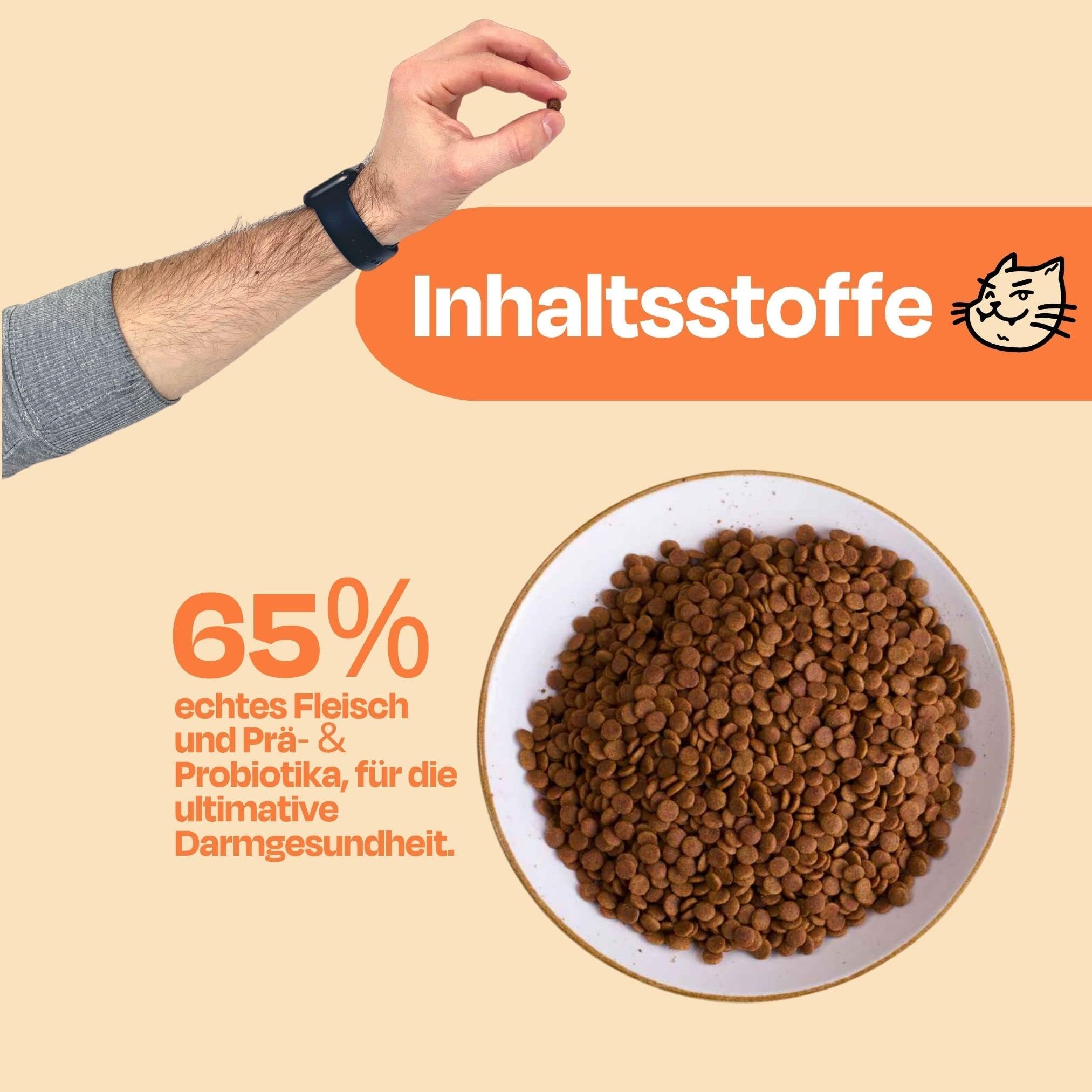 The Better Cat Alimento seco de alta calidad para gatos, sin cereales, comida seca para gatos, alto porcentaje de carne, sin azúcar, con probióticos (2 kg, pollo)