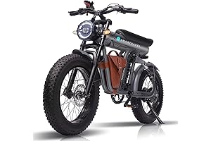 Segway Electric Dirt E-bike with 1200W Brushless Motor