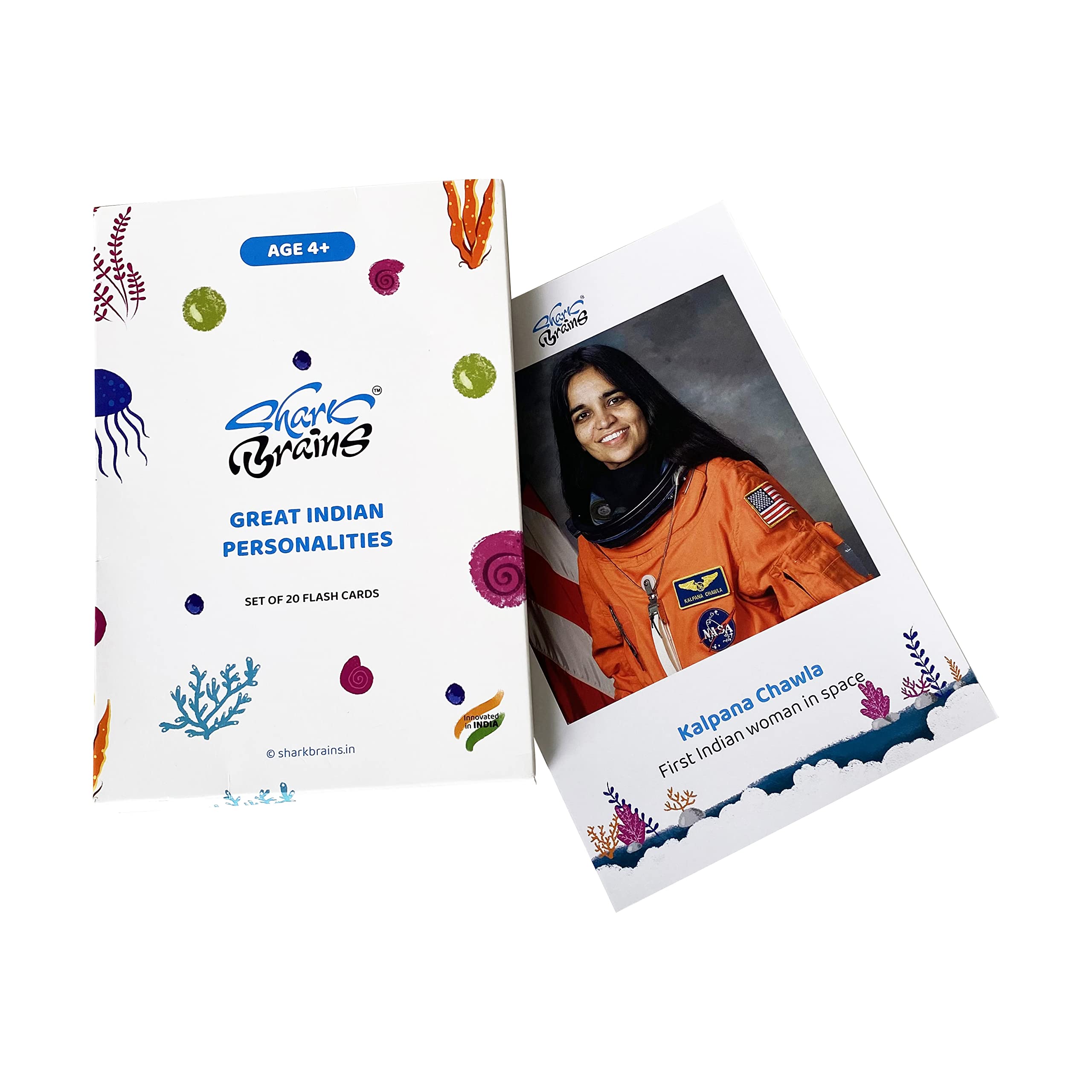Great Indian Personalities Flash Cards | Set of 20 | Easy and Fun Way of Early Learning (B0B31YRN7K) Amazon Price History, Amazon Price Tracker
