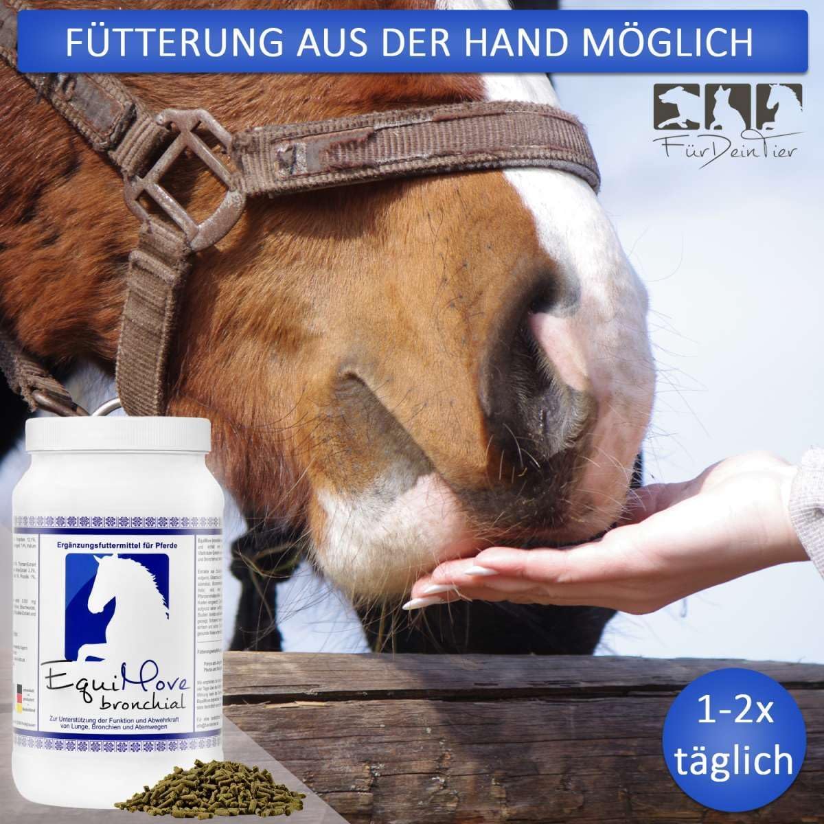 Dreierpack | bronchial (3 x 1,5 kg) - Zur Unterstützung und Beruhigung der Atemwege, wie auch der Immunfunktion | Mit Thymian-, Eibischwurzel-, Brunnenkresse-, Efeublätter Extrakt und mehr