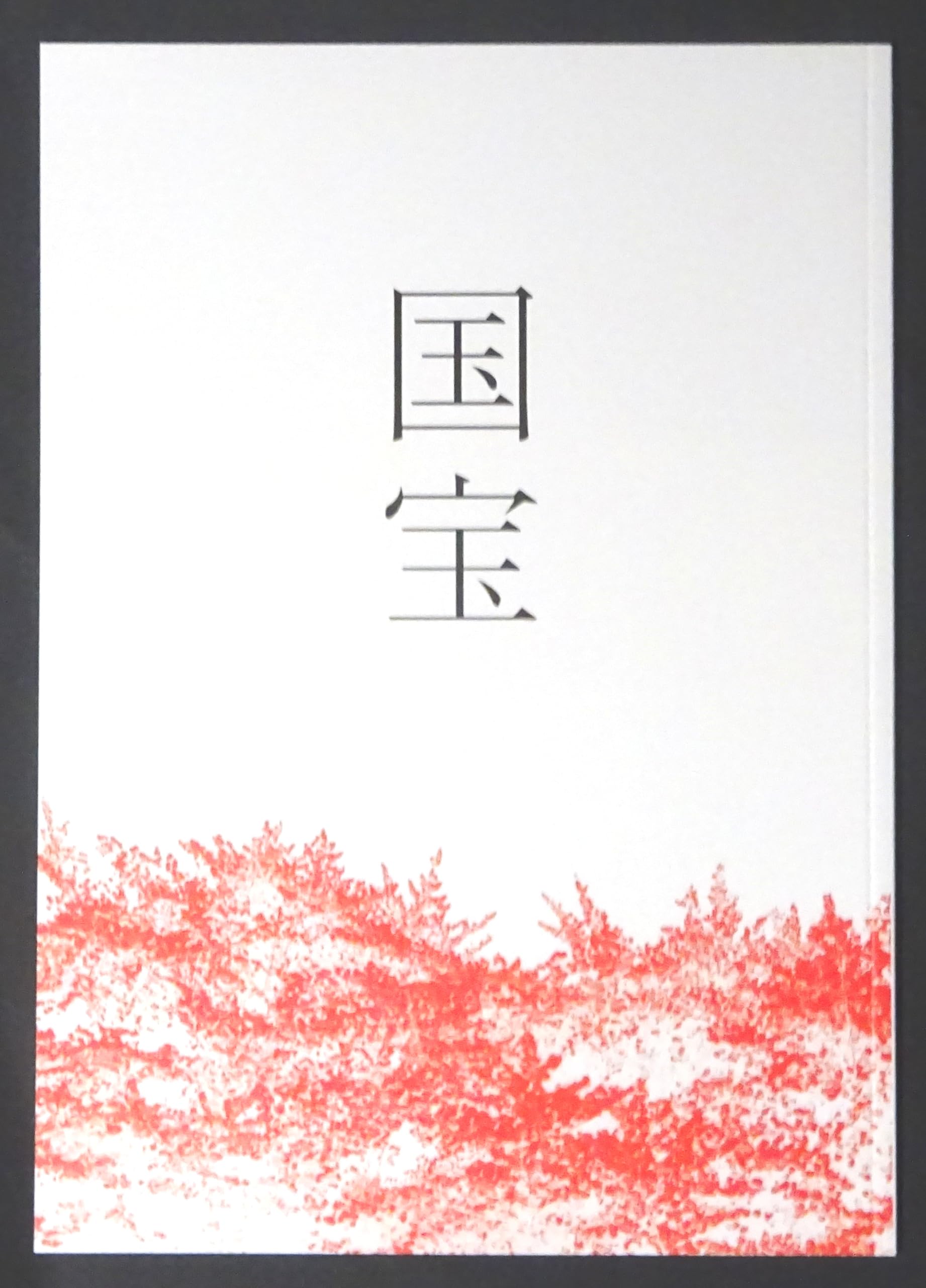 国宝 映画パンフレット 監督 李相日 出演 吉沢亮 横浜流星 森七菜 三浦貴大、見上愛