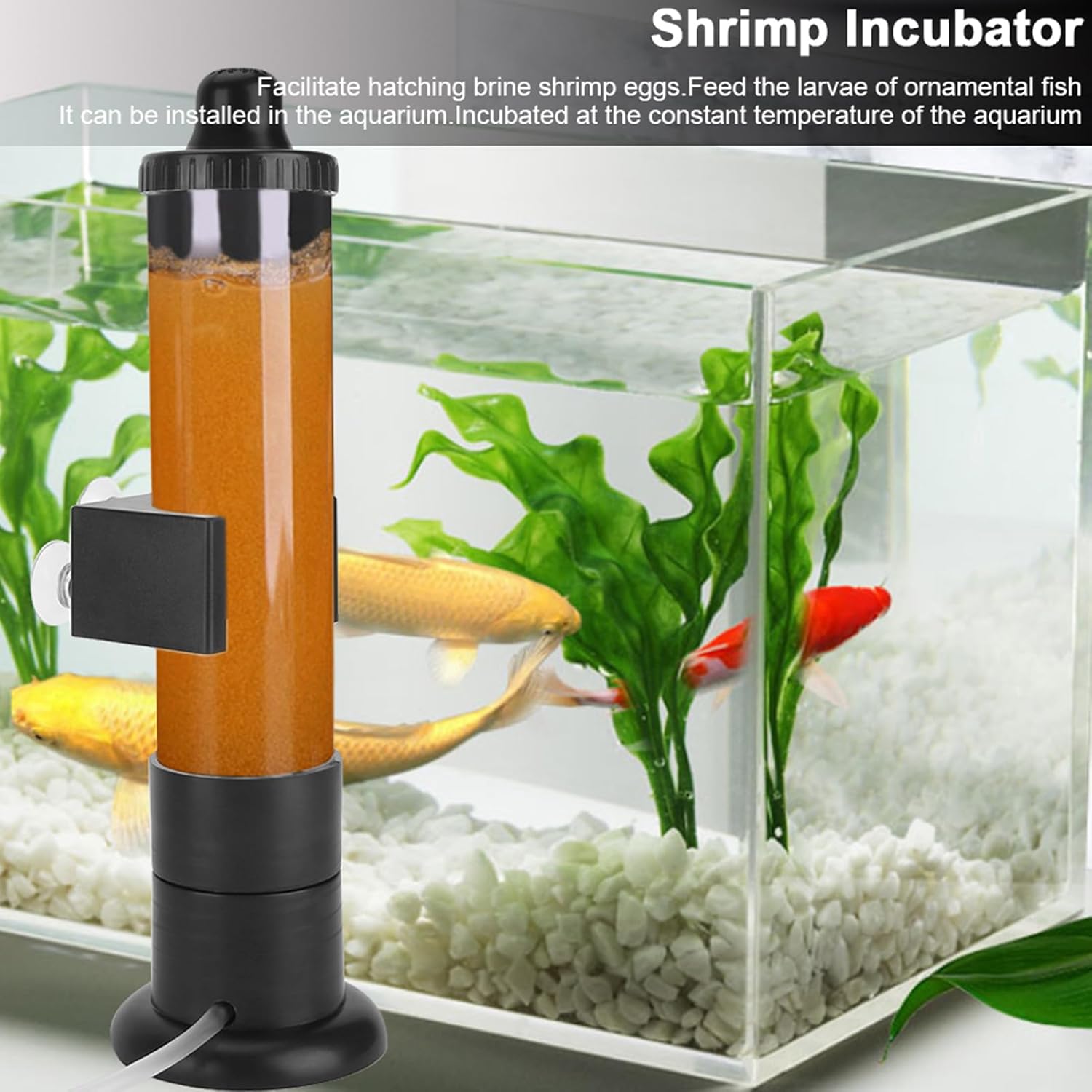 380ml Aquarium Fish Breeder Box, Plastic Fish Tank Shrimp Breeding Hatcher Incubator, Aquarium Fish Hatching Breeder, for Baby Fish Shrimp Clownfish Guppy
