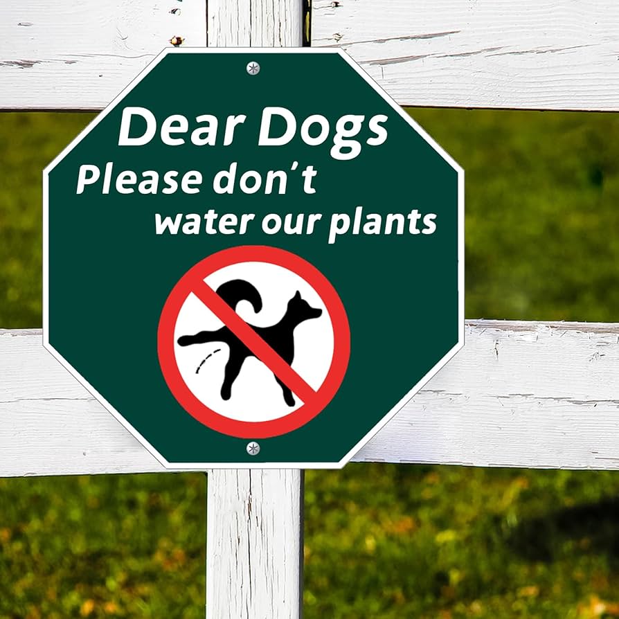 Buy Small Discreet Please Do Not Let Your Dog Pee On The Plants And 1ft Steel Post Mounted To Place In Your Lawn Or Garden