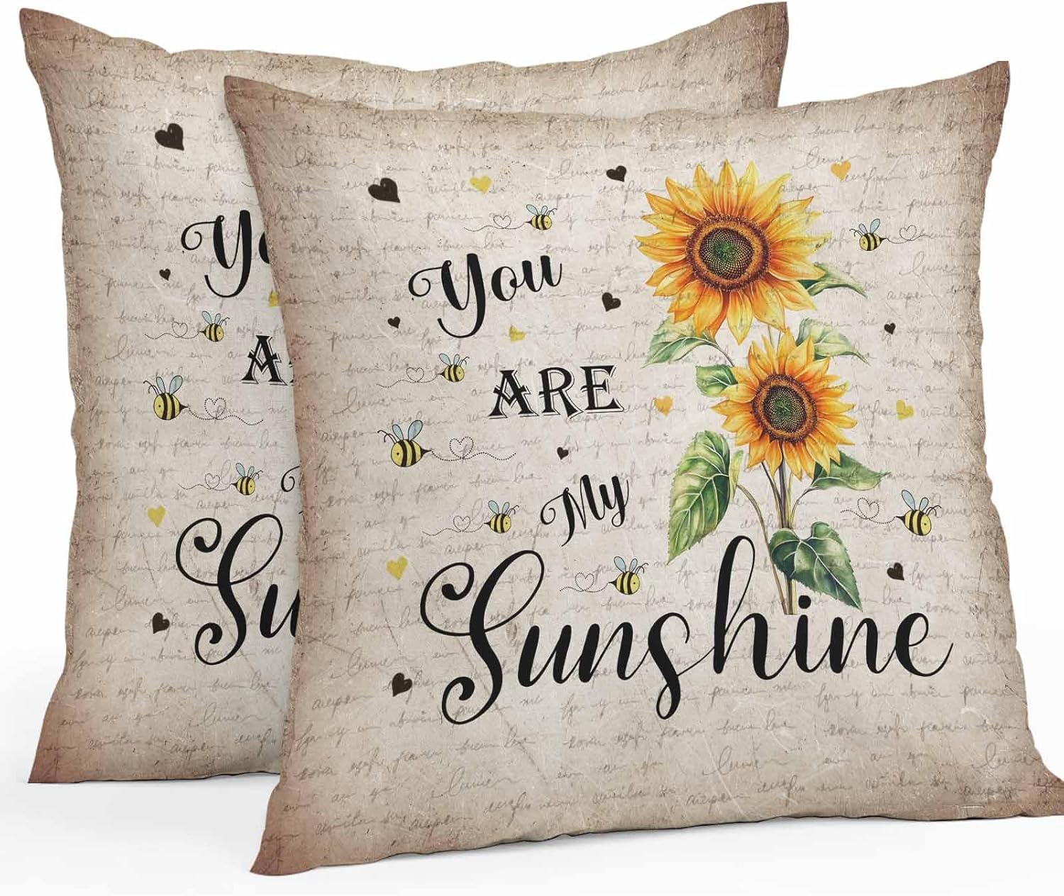Farmhouse Sunflower Bee Outdoor Pillow Covers 20x20in Pack of 2 Waterproof Pillowcase Pastoral Flower Vintage Letter Back Decorative Throw Cushion Case for Patio Couch Sofa