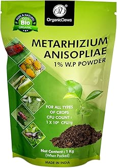 OrganicDews Metarhizium anisopliae 1 Kg (1x10^8 CFU/g) for Plants 1 Kg