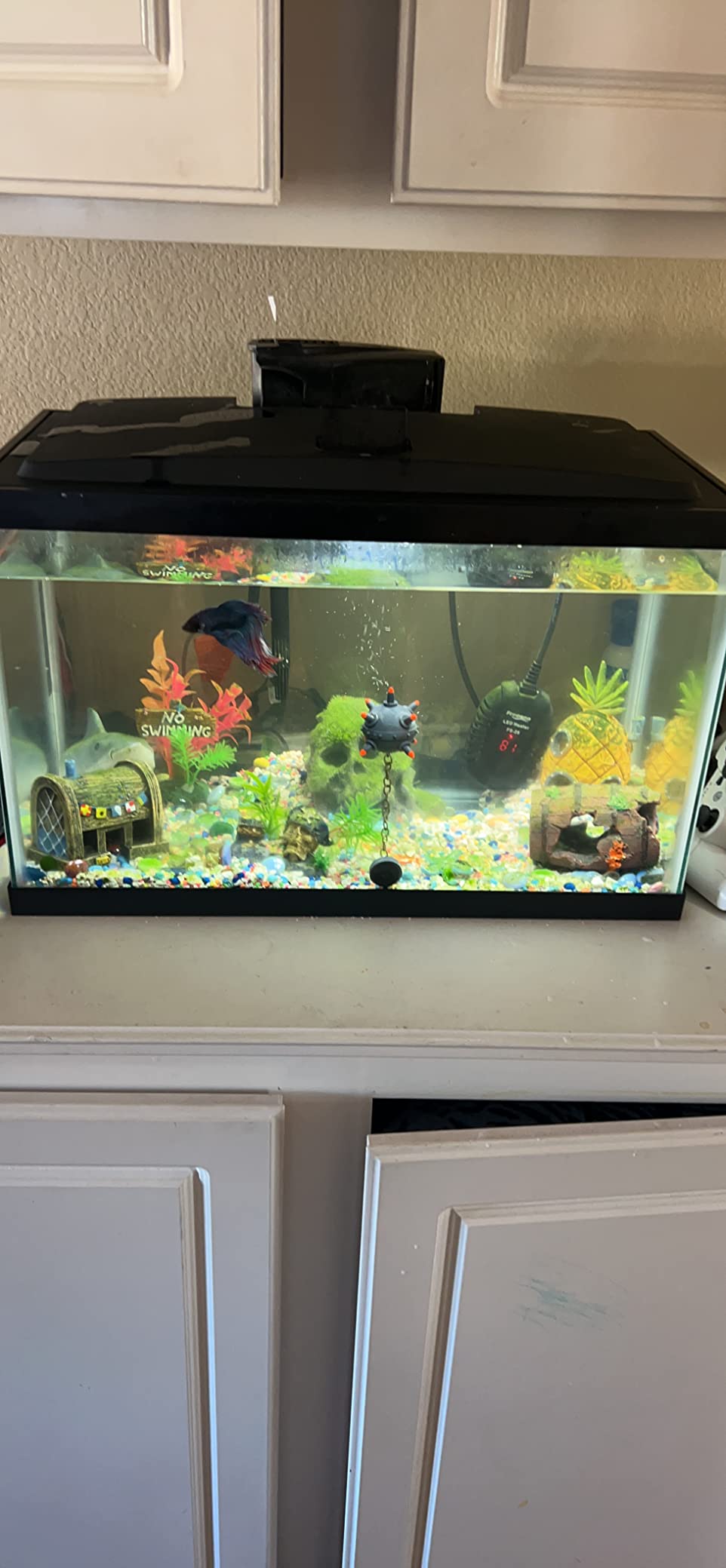 Customer Image