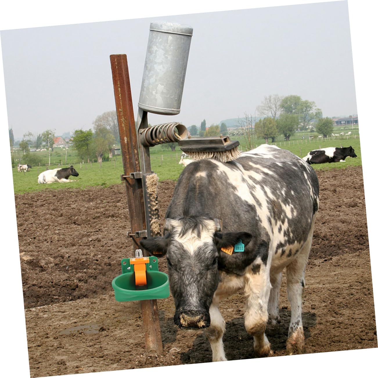 BESPORTBLE 2Pcs Automatic Goat Sheep Drinking Bowl Durable Plastic Farm Animal Waterer Easy to Install Livestock Water Dispenser for Cattle Sheep Versatile Outdoor Use