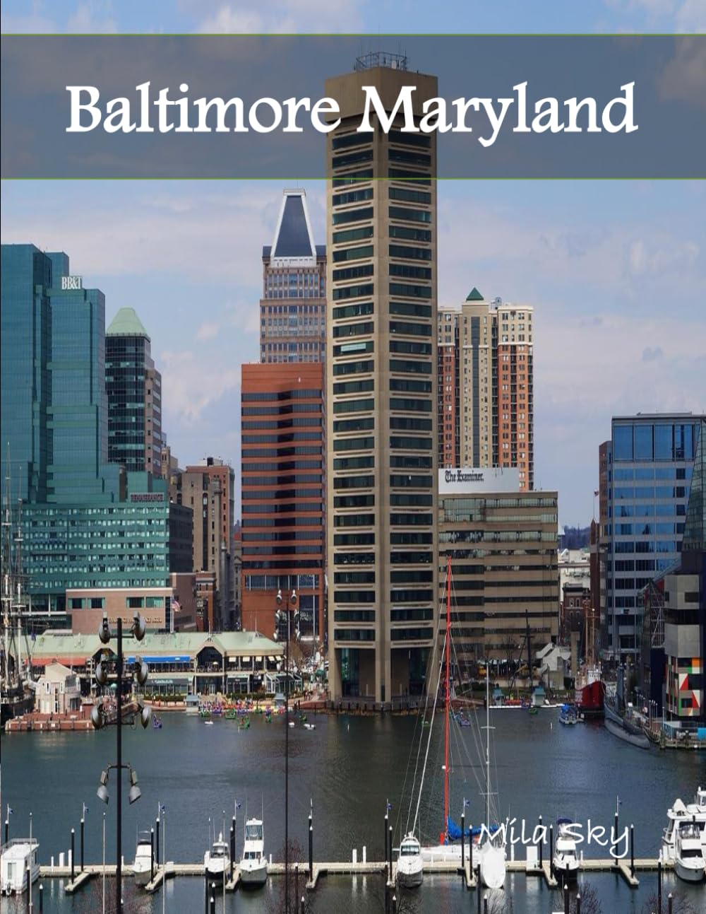 Baltimore Maryland: A Luxury Coffee Table Book of Iconic Landmarks