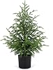 Norfolk Pine Christmas Tree Realistic Faux Greenery for Tabletop Mantel Entryway Holiday or Year Round Home Decor 2FT-1Pack