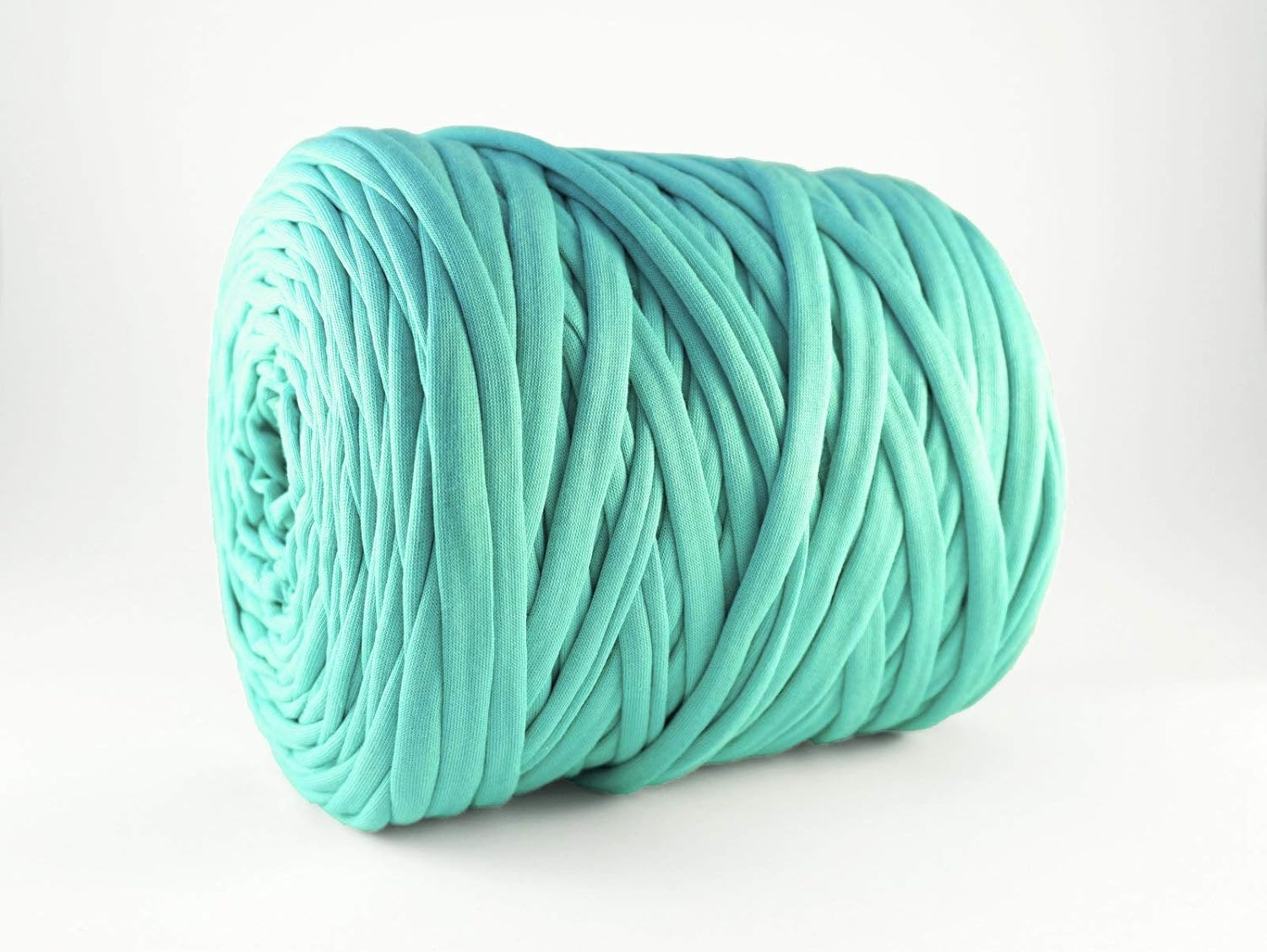 Solid Color T-Shirt Yarn Zpagetti (120 Meter/131 Yard Bobbin) (Mint)