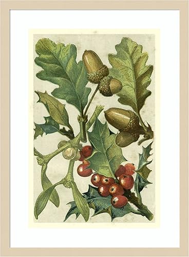 Miniatura 13 de Amanti Art Lienzo decorativo para pared enmarcado de 44 x 32 pulgadas, frutas y follaje II por Vision Studio, arte de pared de naturaleza, Búho