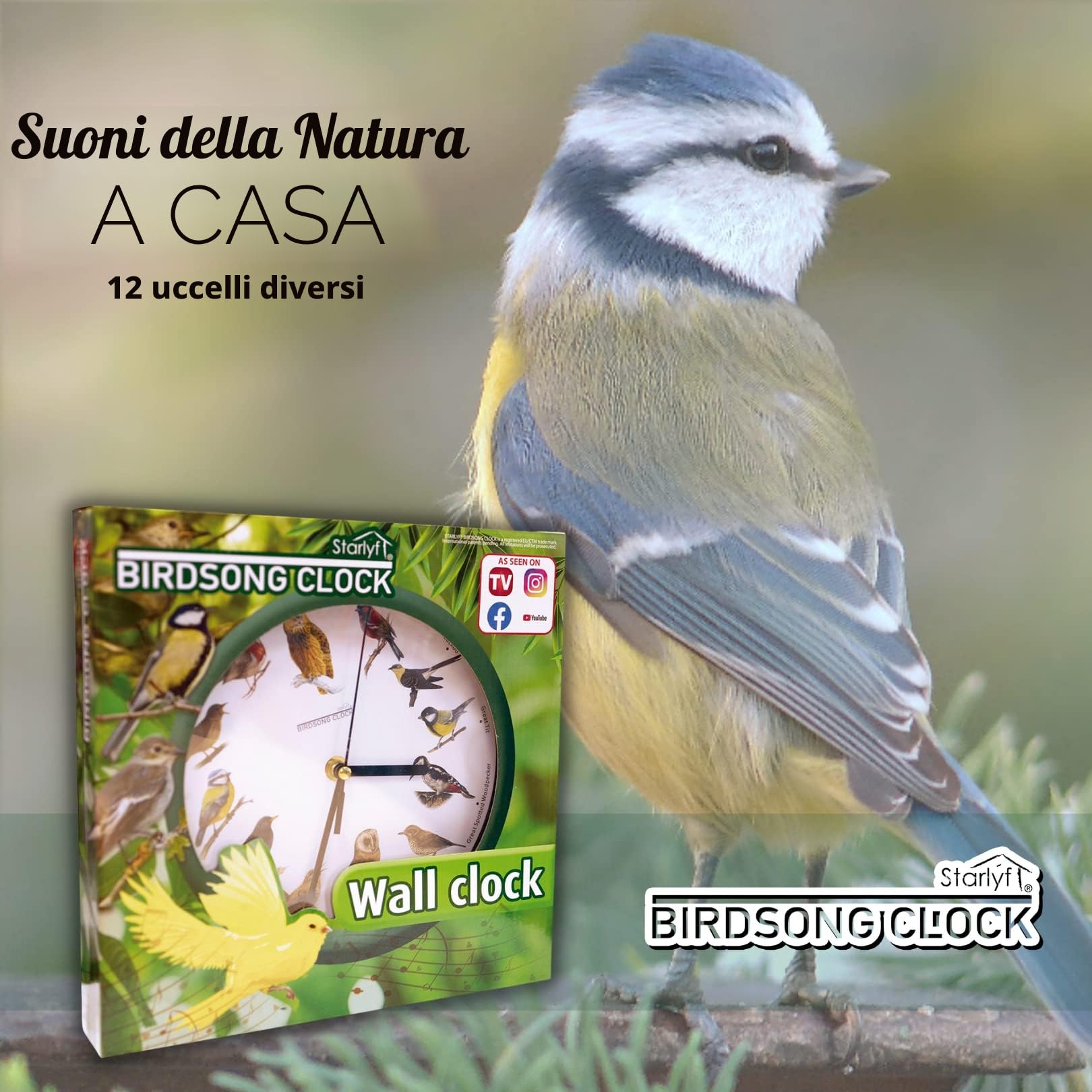 STARLYF Orologio da parete Birdsong Clock, Con suoni reali di 12 diversi uccelli, calendario del silenzio di notte, Ogni ora canta uno dei 12 uccelli canori locali, 25 cm di diametro