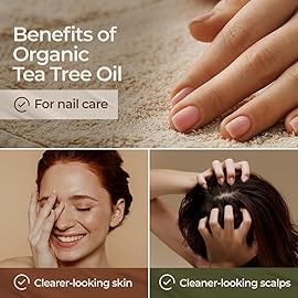 Gya Labs Organic Tea Tree Essential Oil - 0.34 Fl Oz - for Skin, Hair, Diffuser, Aromatherapy, DIY Candle Making Scents