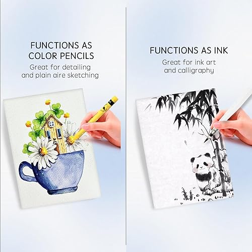 Miniatura 5 de 25 colores pasteles solubles en agua, juego de pasteles de acuarela para principiantes y aficionados, incluye sacapuntas, paleta y pincel para