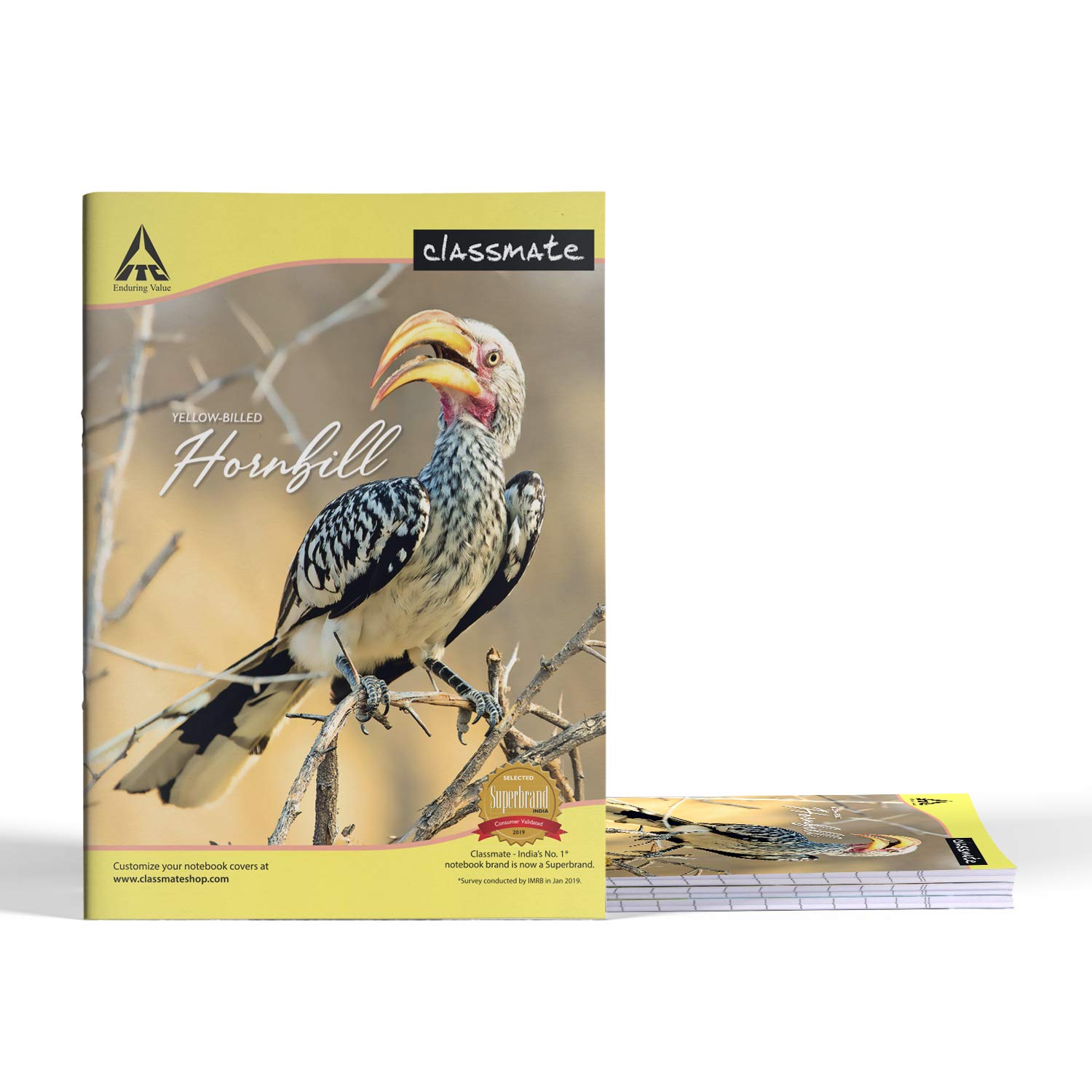 Classmate Notebook - 240mm x 180mm, Soft Cover, 172 Pages, Single Line (02005028PPLB) (Pack of 4)