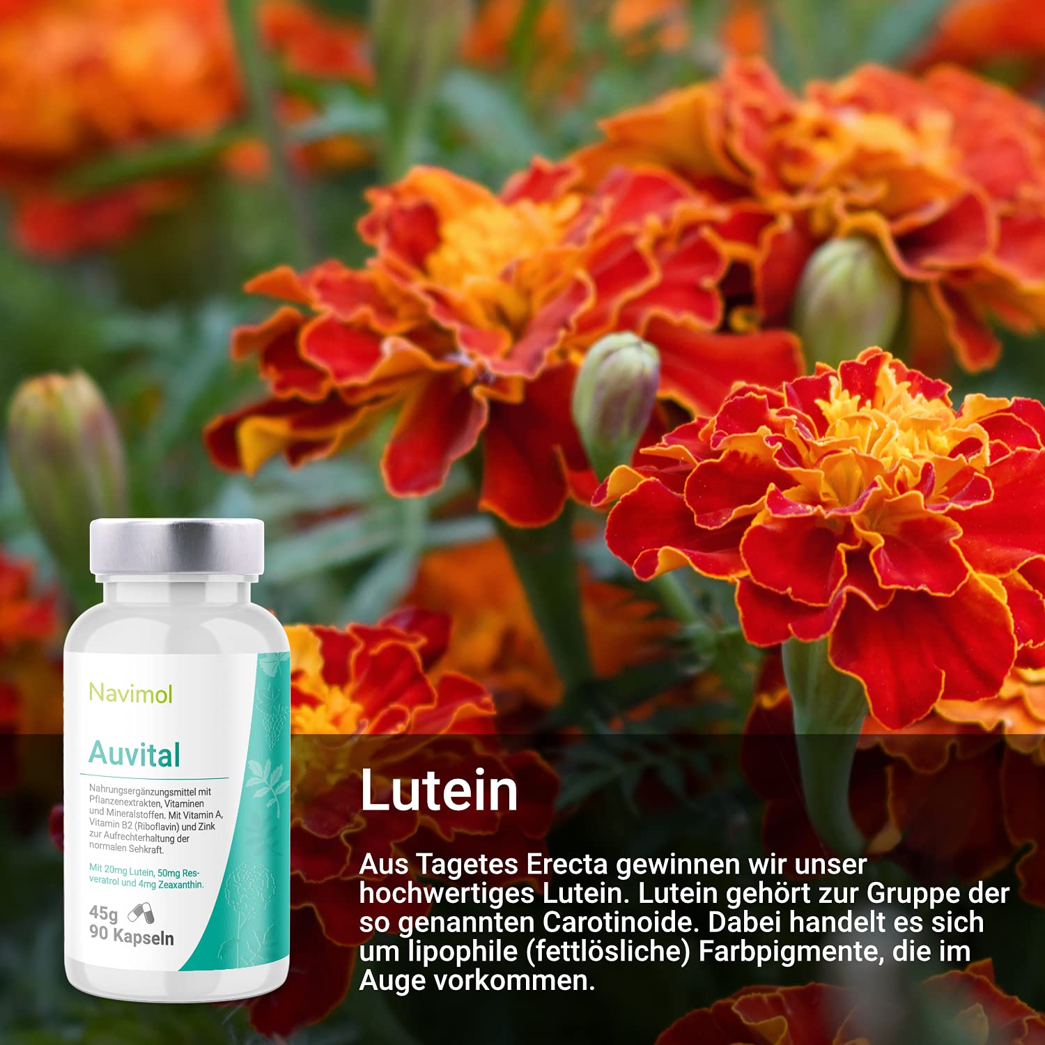 90 Kapseln | Nahrungsergänzungsmittel: Mit Vitamin A, Vitamin B2 (Riboflavin) & Zink zur Aufrechterhaltung der normalen Sehkraft | 20mg Lutein | 50 mg Resveratrol | 4mg Zeaxanthin