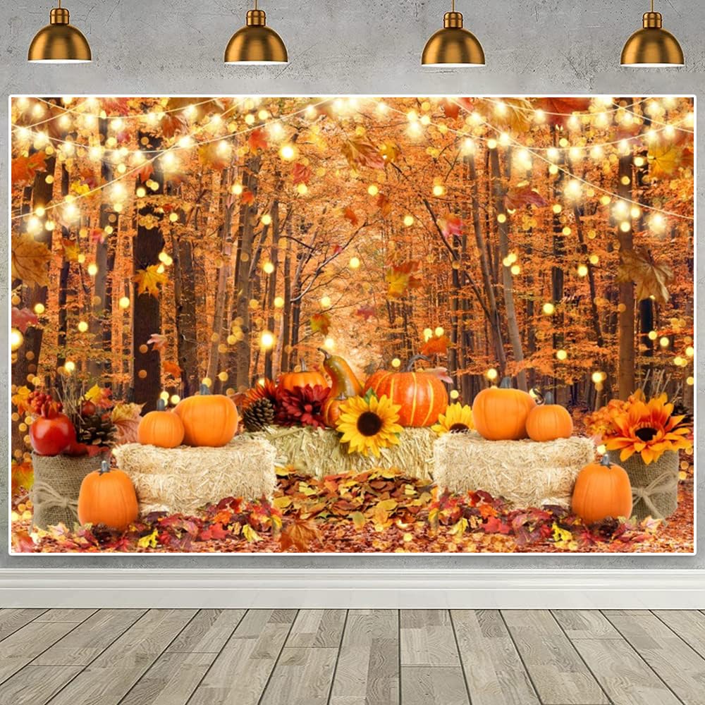 Toile De Fond Pour Photographie D'automne, Citrouille D'automne