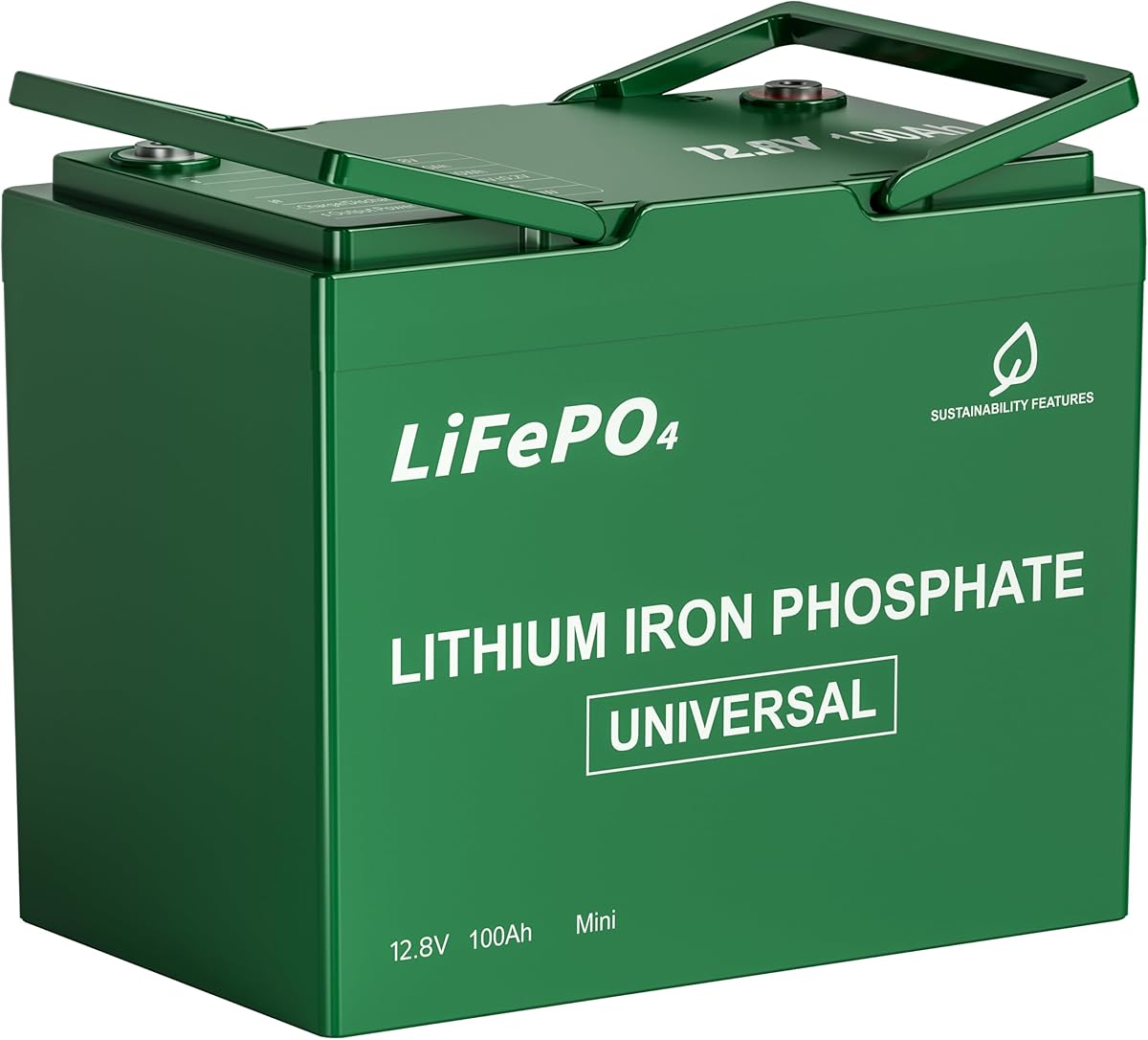 DEASON 12V 100Ah Mini LiFePO4 Lithium Battery - 100A BMS, 10-Year Lifespan, Up to 15000 Cycles, Max. 1280Wh Energy in Small Size, Perfect for RV, Solar, Trolling Motor, Boats, kayaking, Marine etc. : Automotive