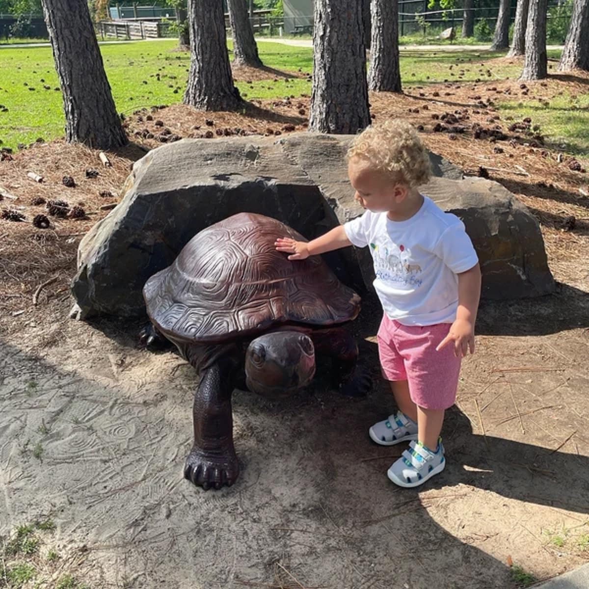 Lamuusaa Toddler Baby Boy Birthday Outfit Wild Animal Birthday Boy Embroidery T-shirt Plaid Shorts Summer Clothes - Image 3