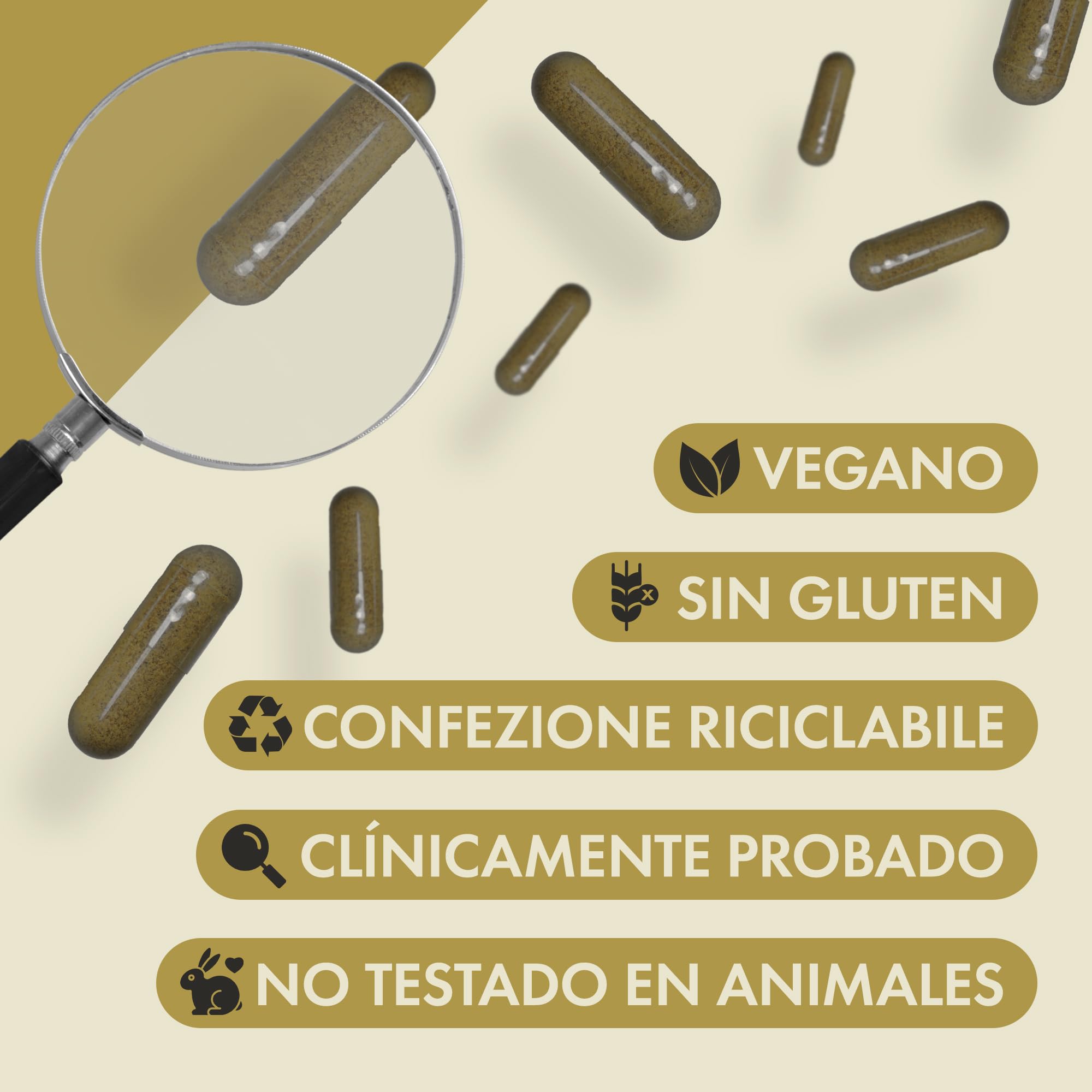 Incite Nutrition Maca Root Complex – 60 cápsulas veganas | Maca negra con reishi, tribulus y bayas de goji – Apoyo a la energía y la vitalidad – Cápsulas de raíz de maca para hombre