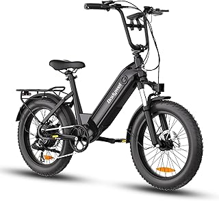 Bodywel F20 Bici Elettrica Adulto, 20”x3.0“ Fat Mountain E Bike Tutti i Terreni, Batteria 48V 13.5Ah, Motore 250W, 7 Velocità, Display LED da 4,5", Forcella Ammortizzata, Freni a Doppio Disco