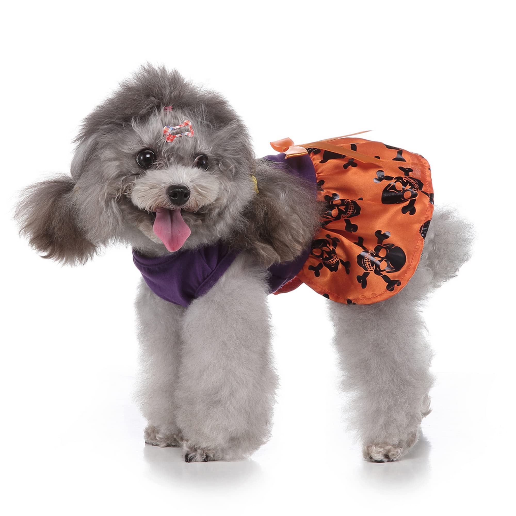 Yoption Halloween-Kostüm Für Hunde/Katzen – Hexen-Skelett-Kleid Mit Kapuze, Größe M, Weiches Polyester
