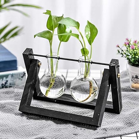 Amazon Knikglass 水耕栽培キット 水耕栽培花瓶 卓上花瓶 室内栽培キット 木製花瓶スタンド 水耕栽培植物 電球形ガラス瓶 花 植物栽培容器 木製スタンド付き電球花瓶 ホームガーデン結婚式の装飾 二瓶 ディスプレイ収納 花器 オンライン通販