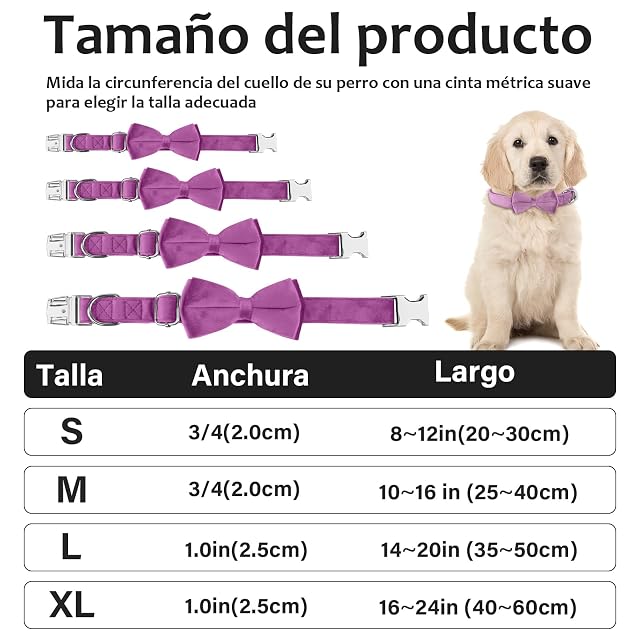 Foto 4 de 8 de KTWSUEF Collar Perro Terciopelo, con Pajarita Perro Desmontable