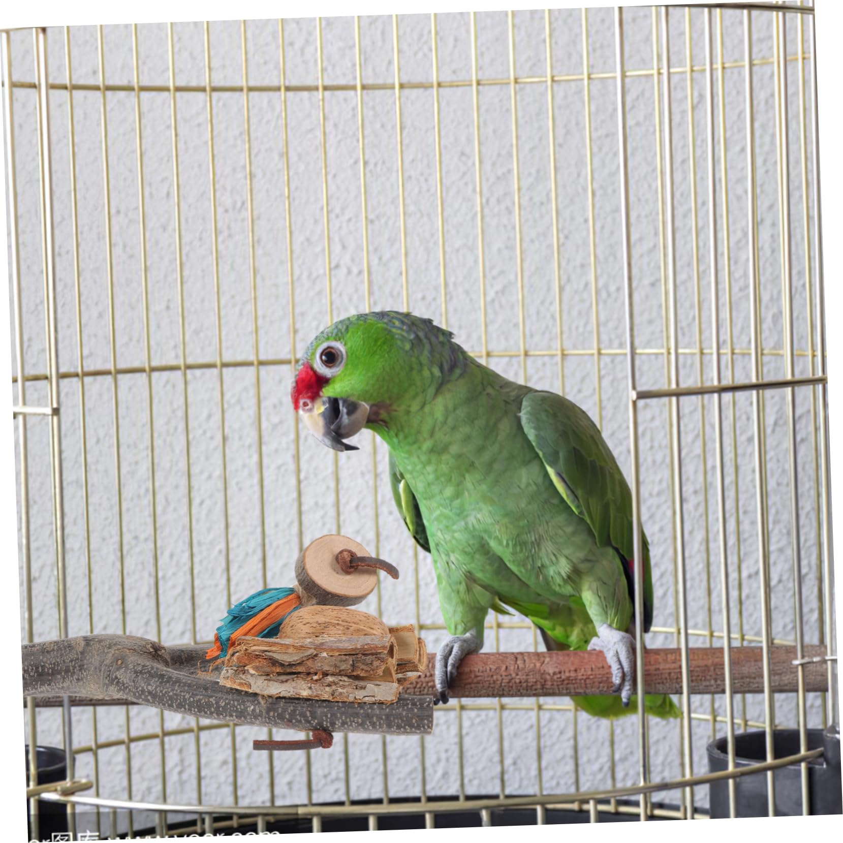 minkissy 4pièces Perchoir pour Oiseaux avec Plateforme Support Naturel pour Perroquets Perruches Et Oiseaux De Compagnie Facile à Installer Et