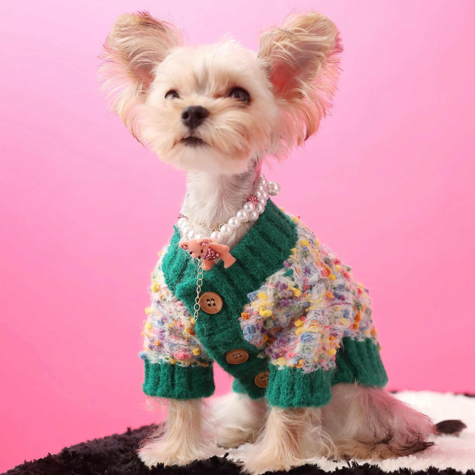 Pulls pour Petits Chiens Filles garçons élégant Luxe Chiot Pull Chaud Tricot Chien noël Pull Automne Hiver Chien Manteau Animal Pull