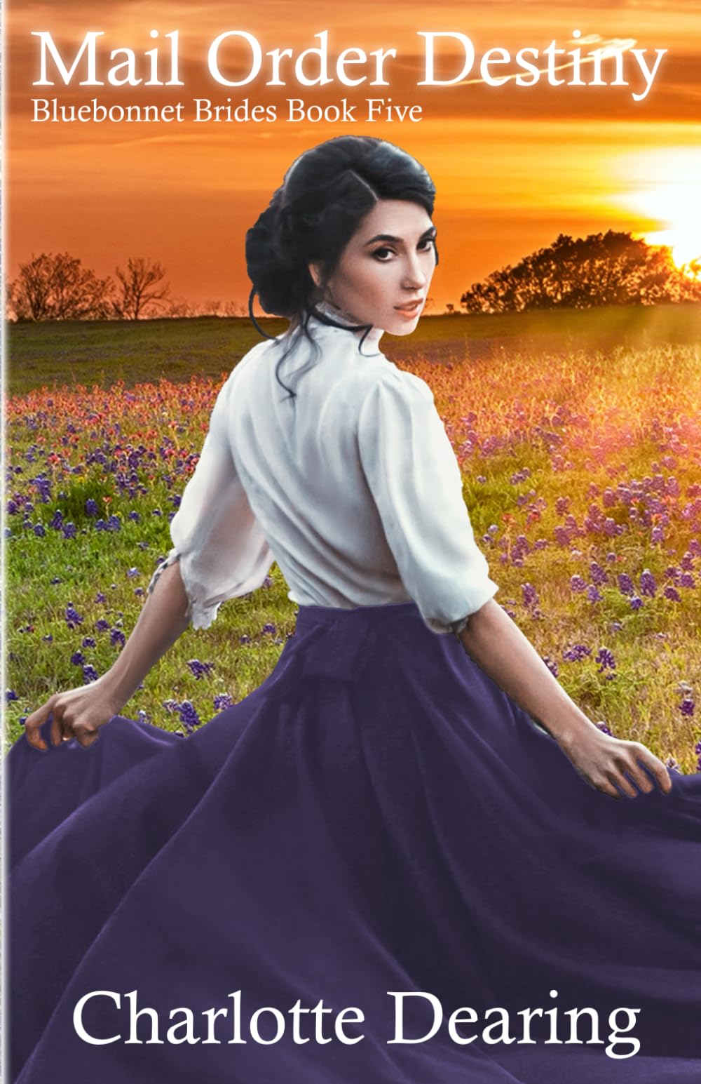 Mail Order Destiny (Bluebonnet Brides)
