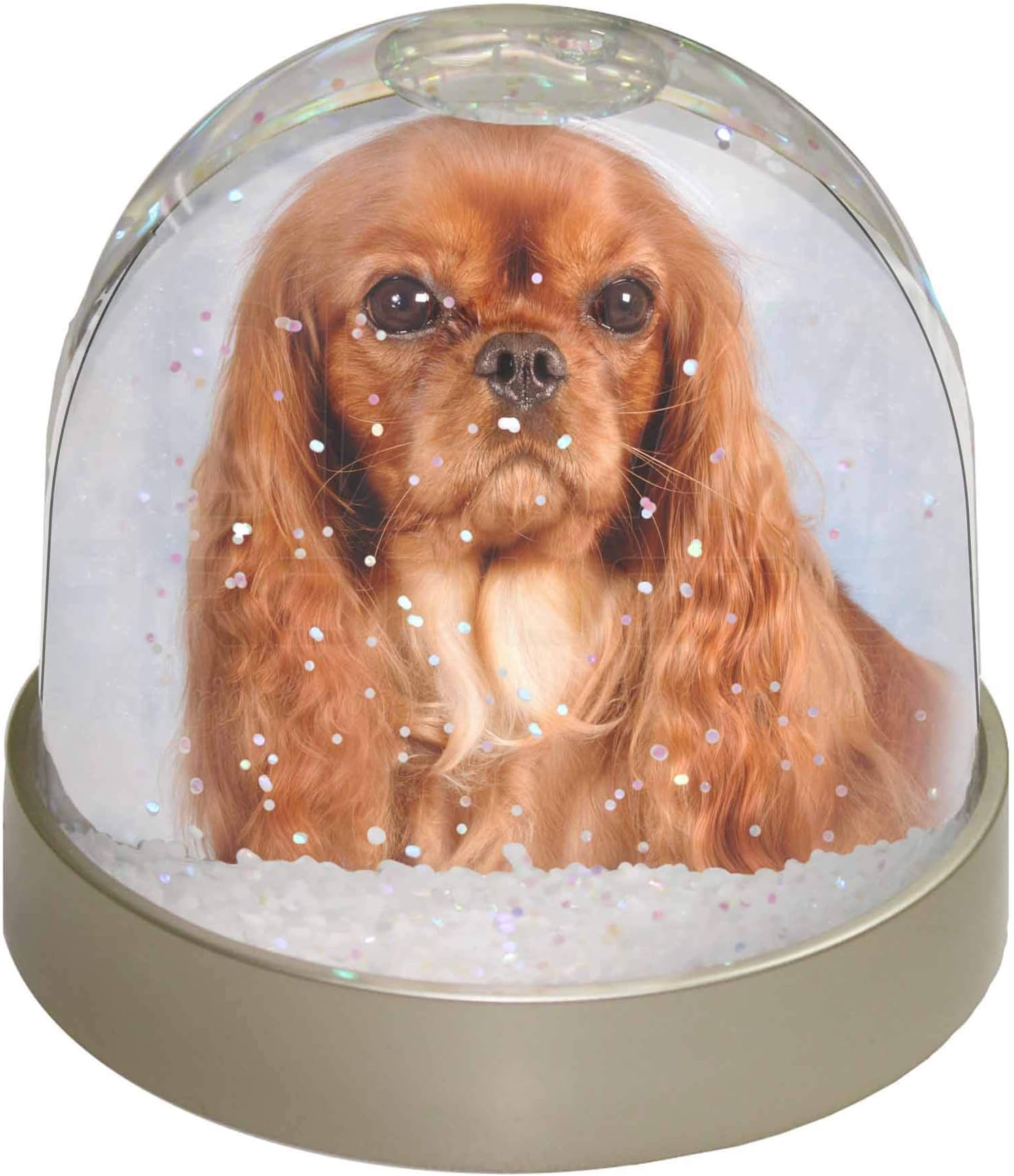 Advanta Group Ruby King Charles Spaniel Dog Photo Snow Globe Waterball