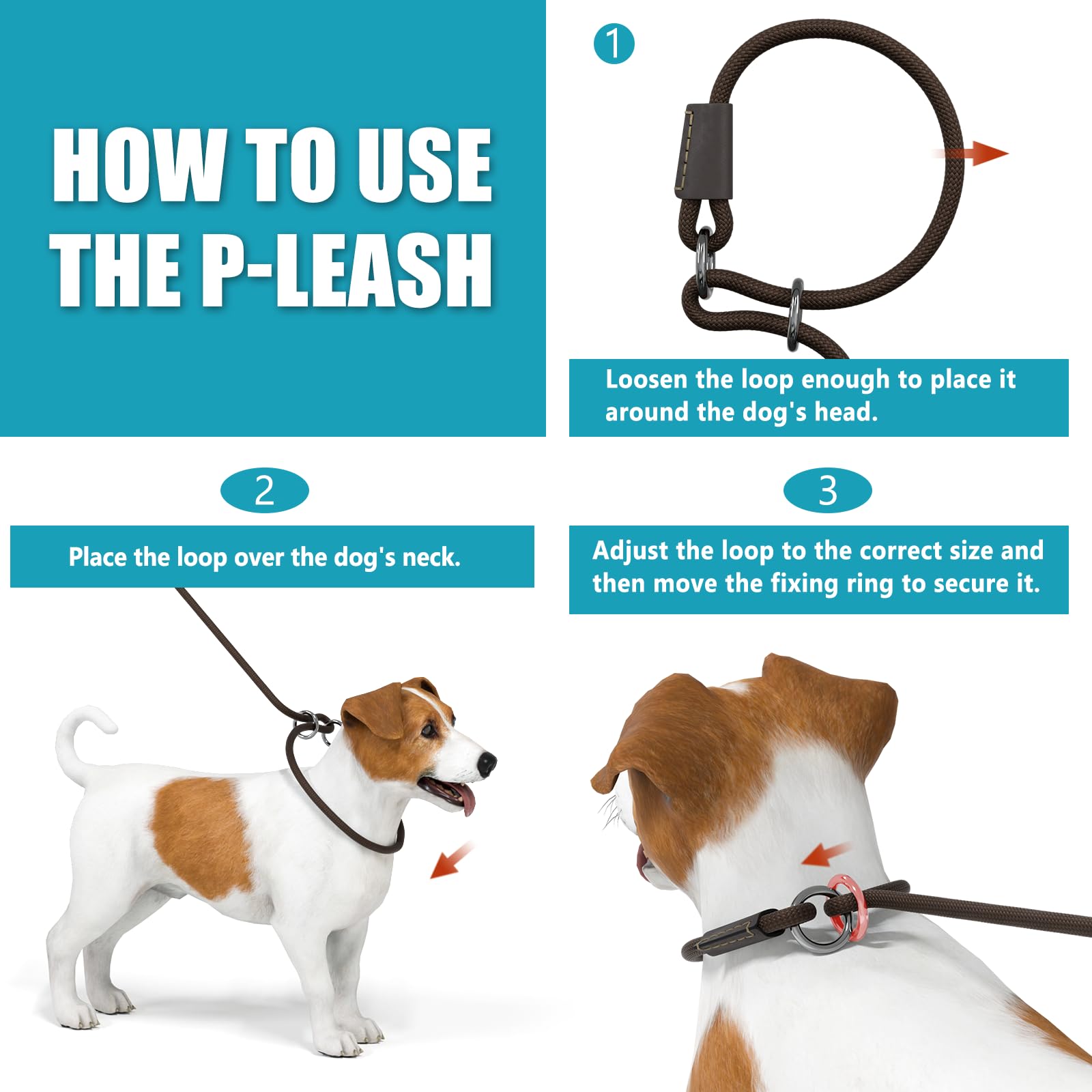 What Happens If You Leave A Dog On A Slip Leash Qianruida Durable