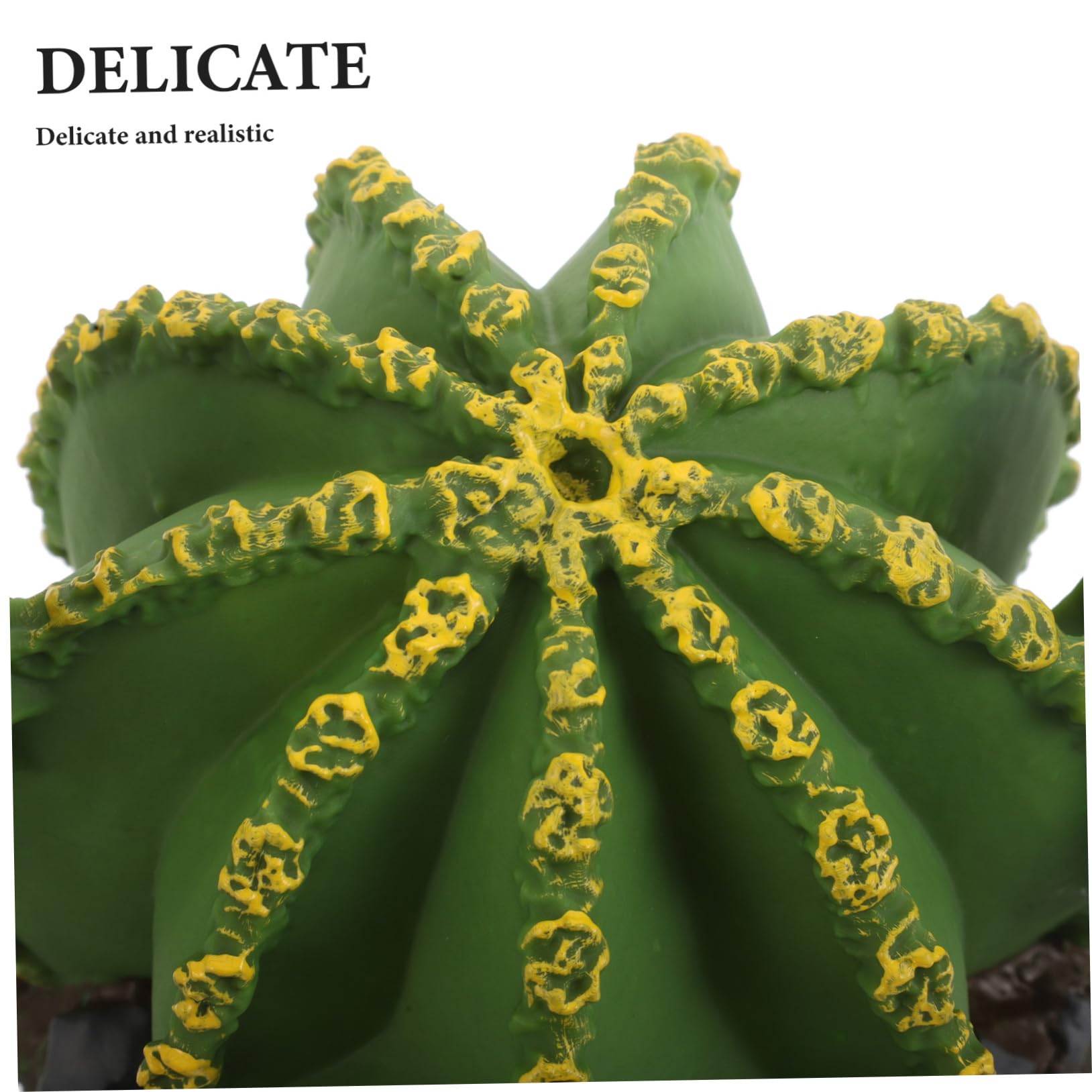 TOYANDONA 3pezzi Decorazione per Acquari Statuine di Cactus da Piante del Deserto Realistiche in Miniatura Accessori per Habitat di Rettili e Terrari