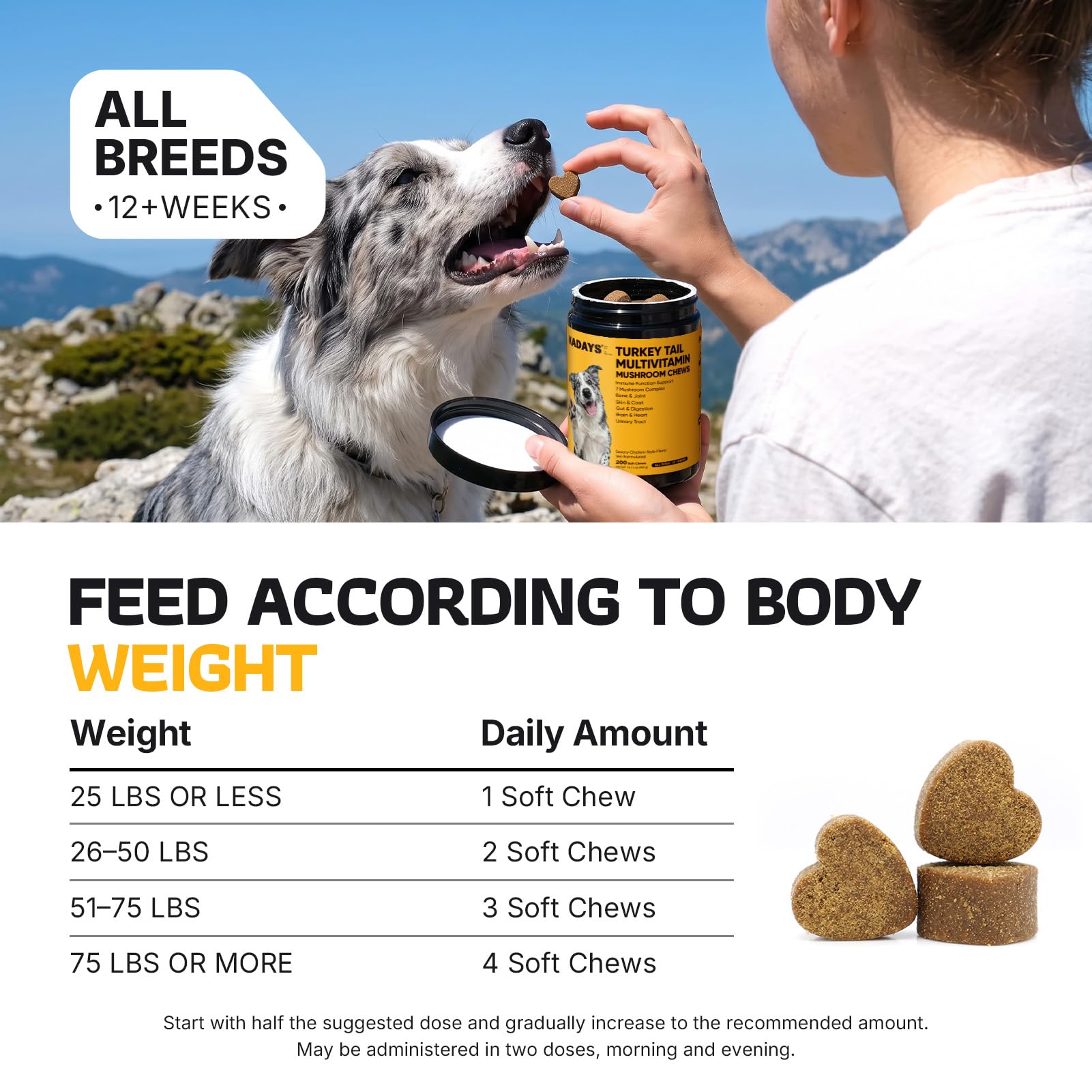 Turkey Tail Mushroom for Dogs 200 Count - Dog Multivitamin & Mushroom Chews — Amazon image 7