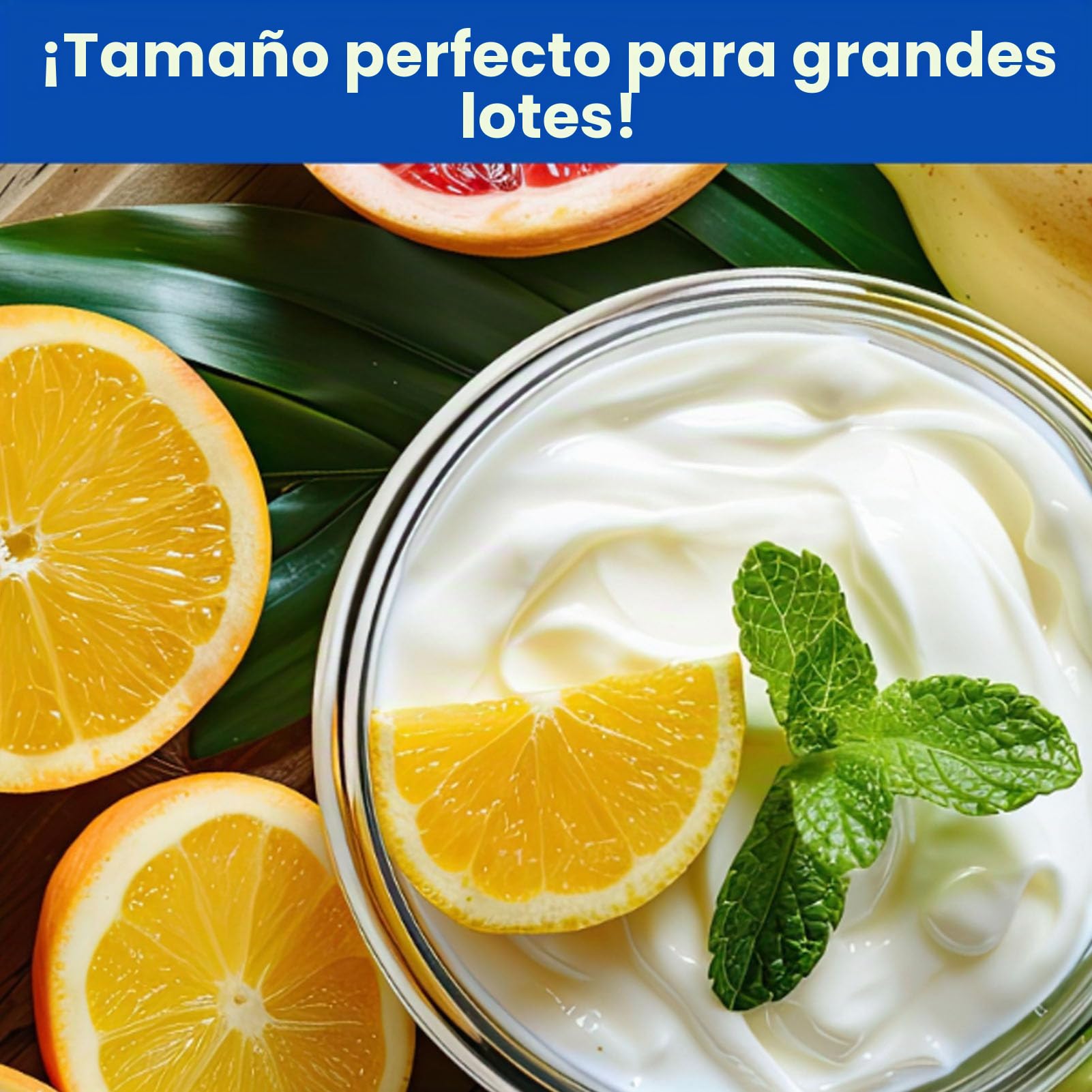 2L Maker de Yogurt con Control AutomaticteMe & Temp, Fabricante de Yogurt Griego, Temporizador de 48h y Frascos Fáciles de Vidrio Limpio