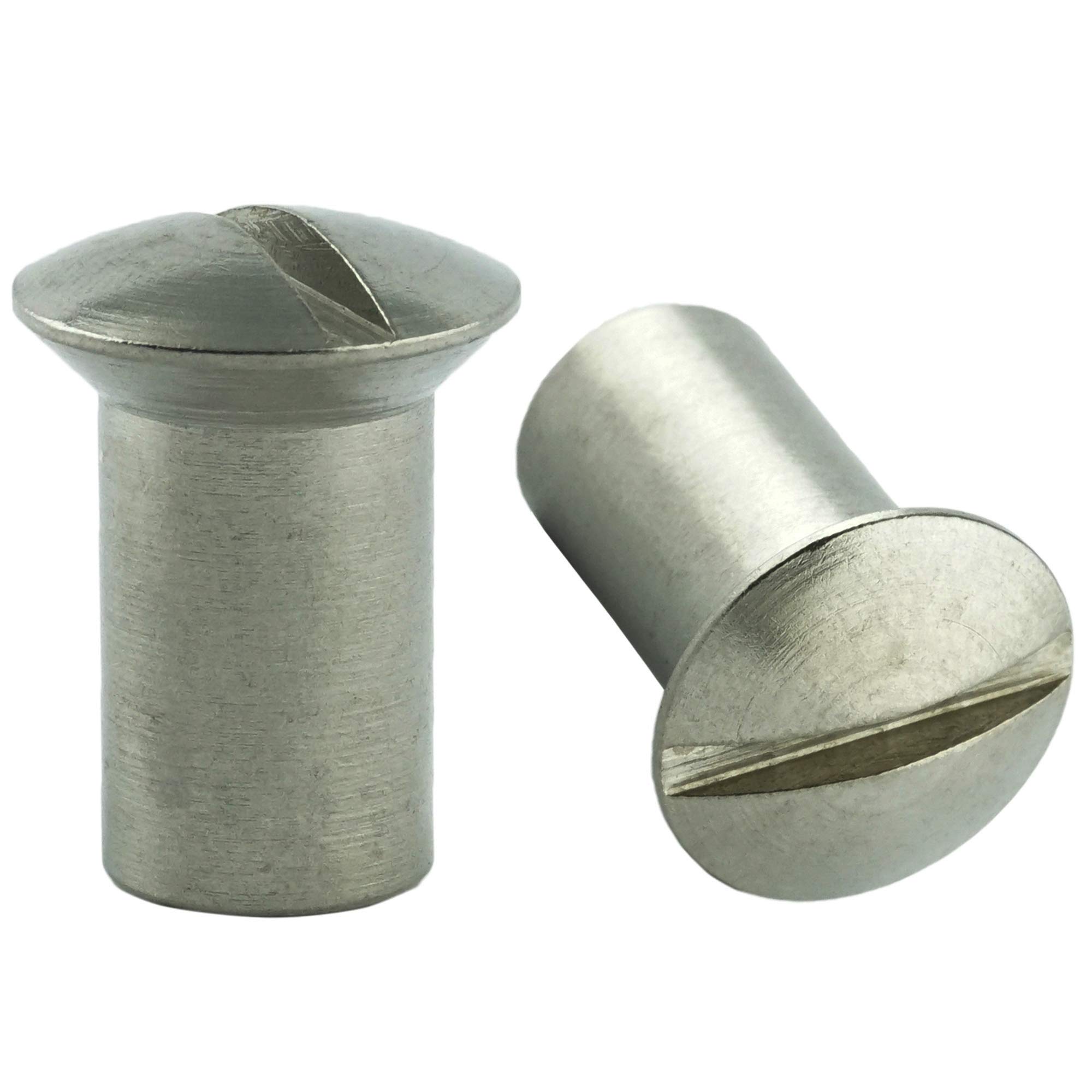AGBERG - Tuercas de casquillos con cabeza lenticular y ranurada (acero inoxidable VA A1 V1A, M8 x 20 mm, 100 unidades)