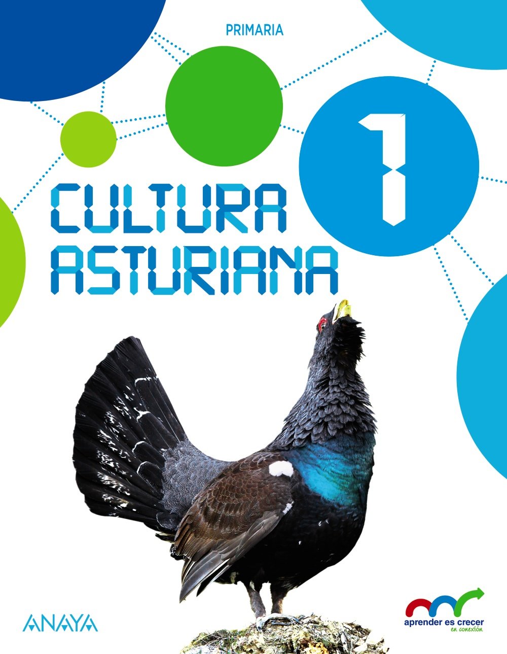 Cultura Asturiana 1. (Aprender es crecer en conexión)