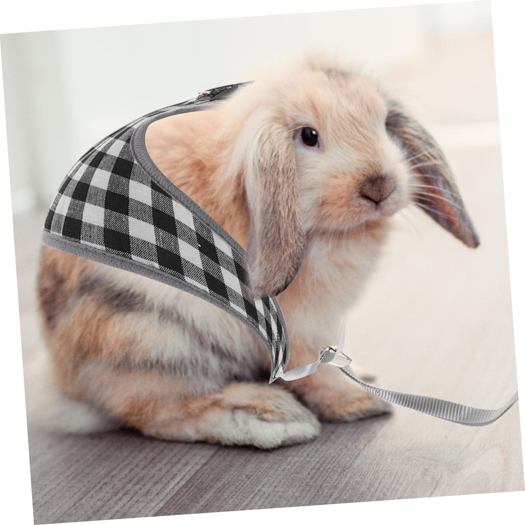 Milisten 4sätze Kaninchenkostüm Mit Leine Und Geschirr Atmungsaktives Verstellbares Bunny Outfit Aus Hochwertiger Für Haustiere Für Kleine Tiere Wie Zwergkaninchen Und Babyhasen