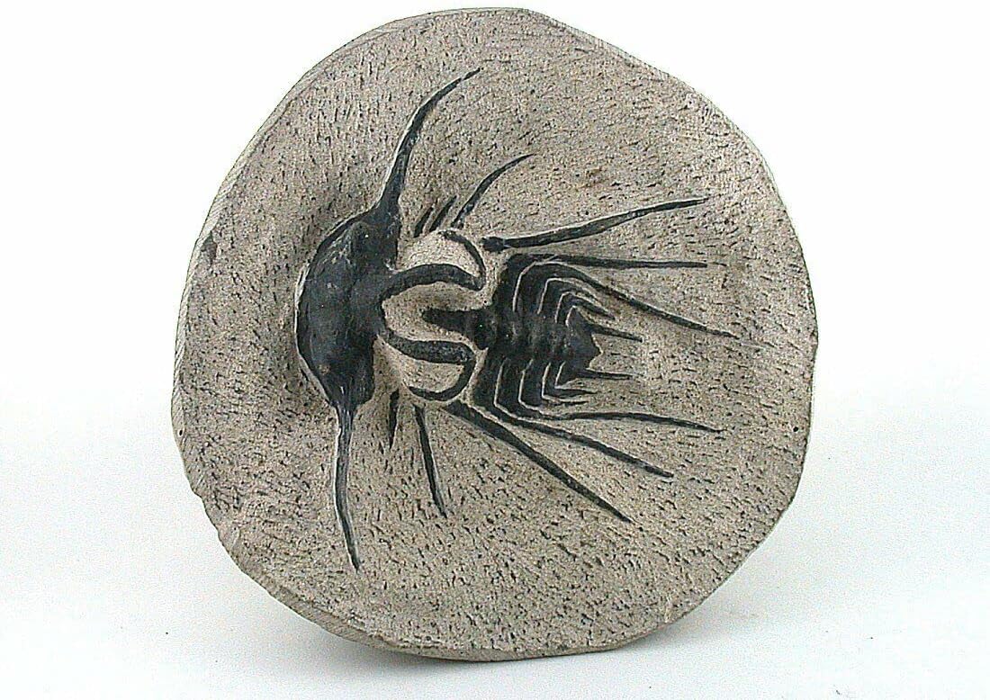 Reproduction Trilobite Fossil in Host Rock Morocco 1 Lb 1.6 Oz EBS8783