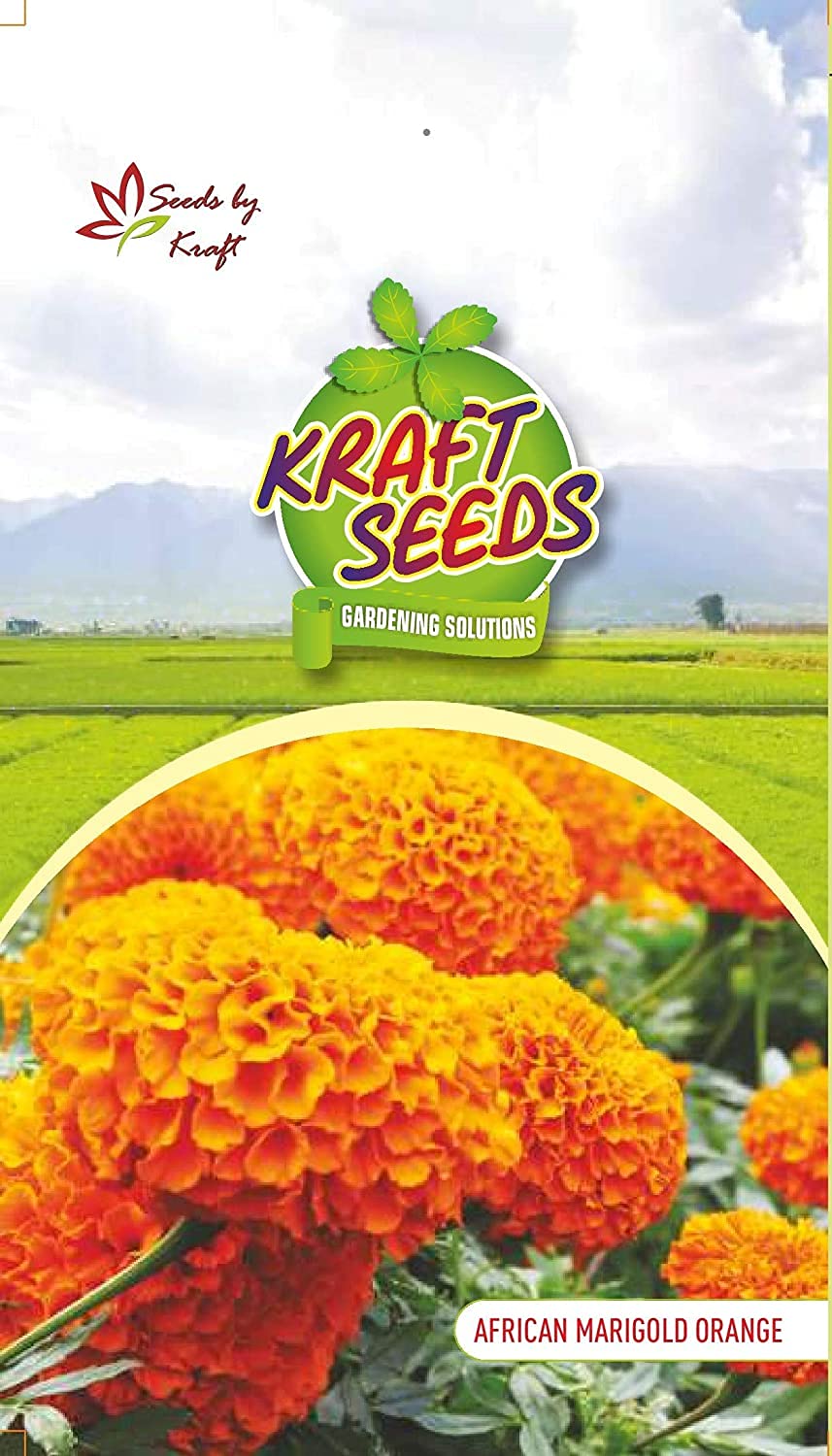 Kraft Seeds by 10CLUB African Marigold Orange Flower Seeds (1 Packet, 10gm) |Flowering Seeds for Home Gardening |Natural and Real Planting Seeds for Indoor Home Decor|All Season Flowering Seeds (B08HGDR9WB) Amazon Price History, Amazon Price Tracker
