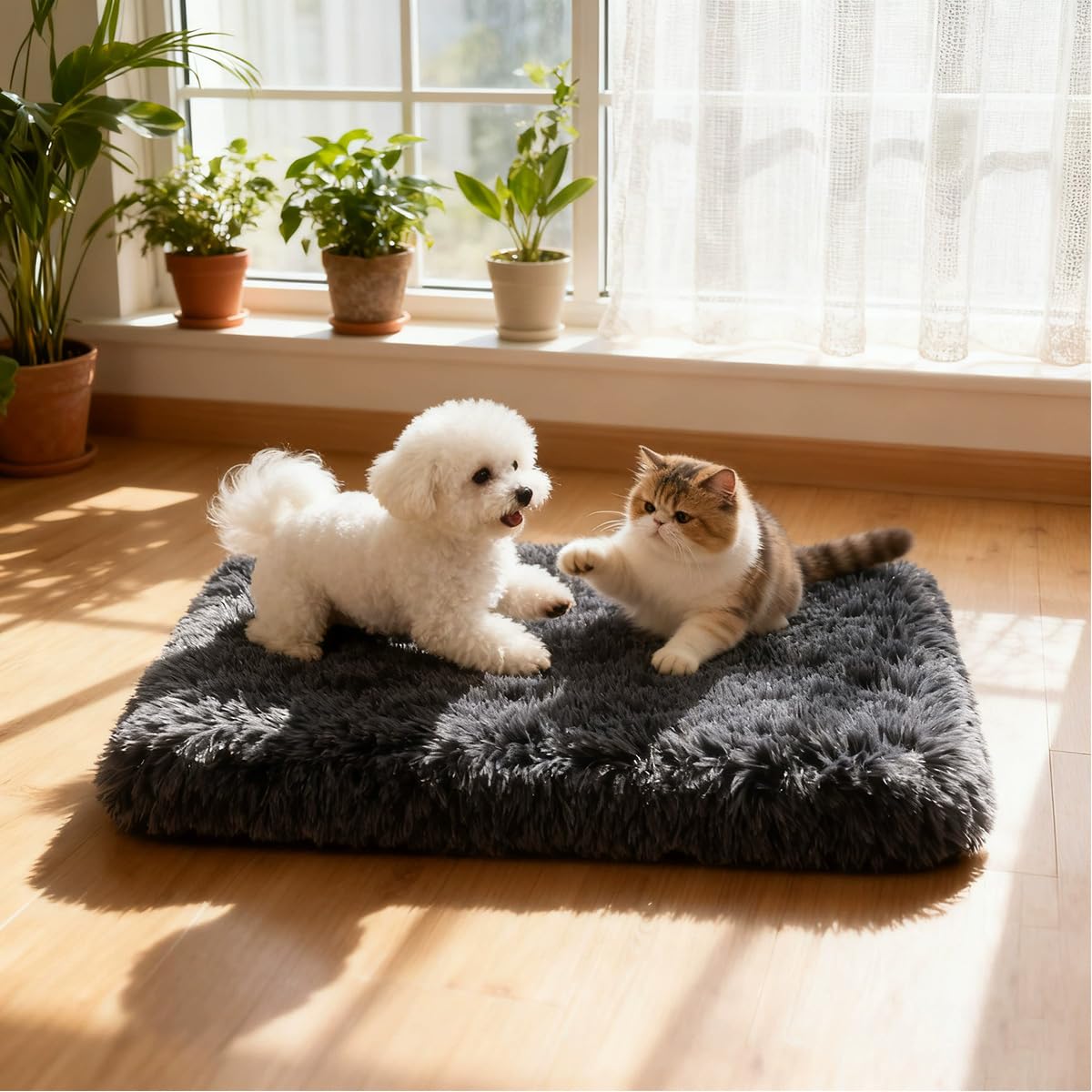 Dickes Plüsch-Hundebett, beruhigender Schwamm, Katzenunterlage