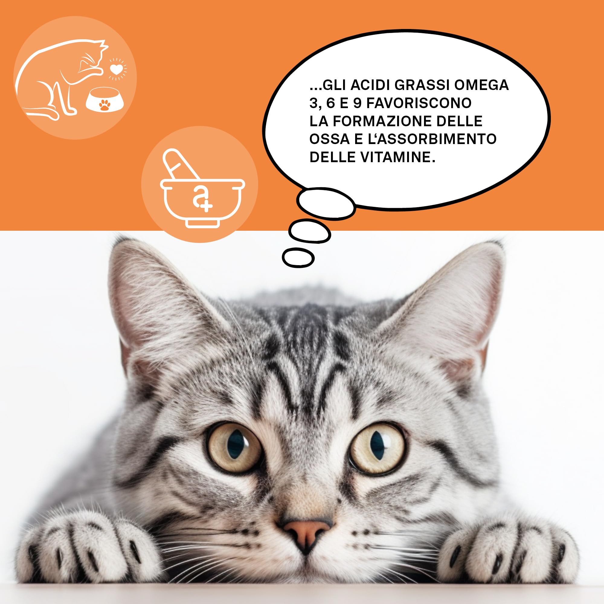Omega 3, 6 e 9 per gatti - 120 compresse da masticare - Olio di pesce naturale con acidi grassi per metabolismo, formazione di ossa, pelle e peeling - animali Omega Complete Cats
