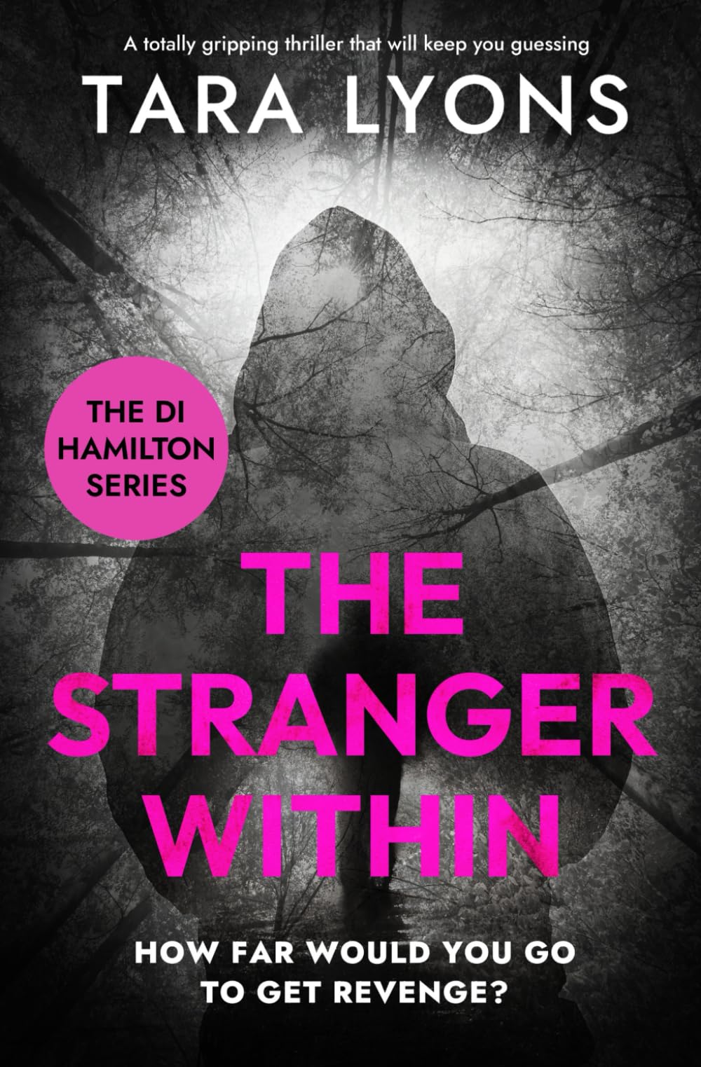 The Stranger Within: (The DI Hamilton Series Book 4)