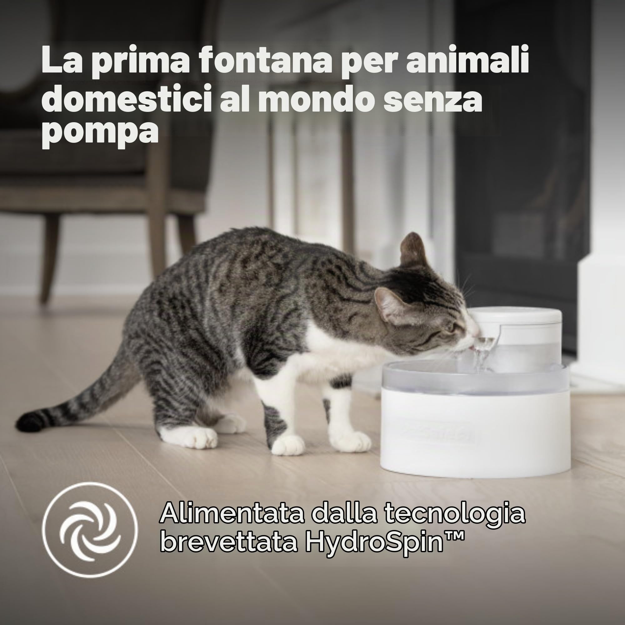 Fontana senza pompa PetSafe Outlast, 1,7 l, fontana per cani di piccola taglia e gatti, lavabile in lavastoviglie, facile da montare e pulire, filtro dell'acqua incluso