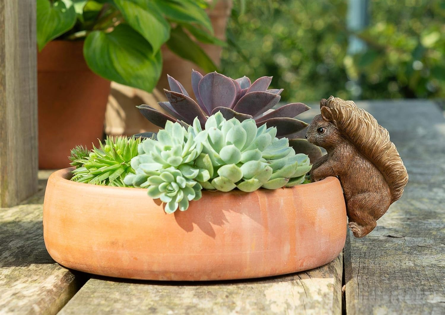 Squirrel Nutkin Pot Buddy - Licensed Beatrix Potter Plant Pot Hanger
