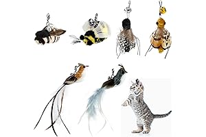 6-Pack Cat Wand Refills for Endless Feline Entertainment