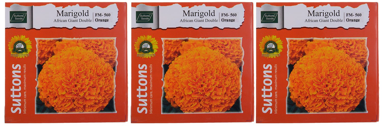 Sutton Seeds 16 Marigold African Giant Double Orange Flower Seeds (Pack of 3, 100 Seeds) (B013I7ASPS) Amazon Price History, Amazon Price Tracker