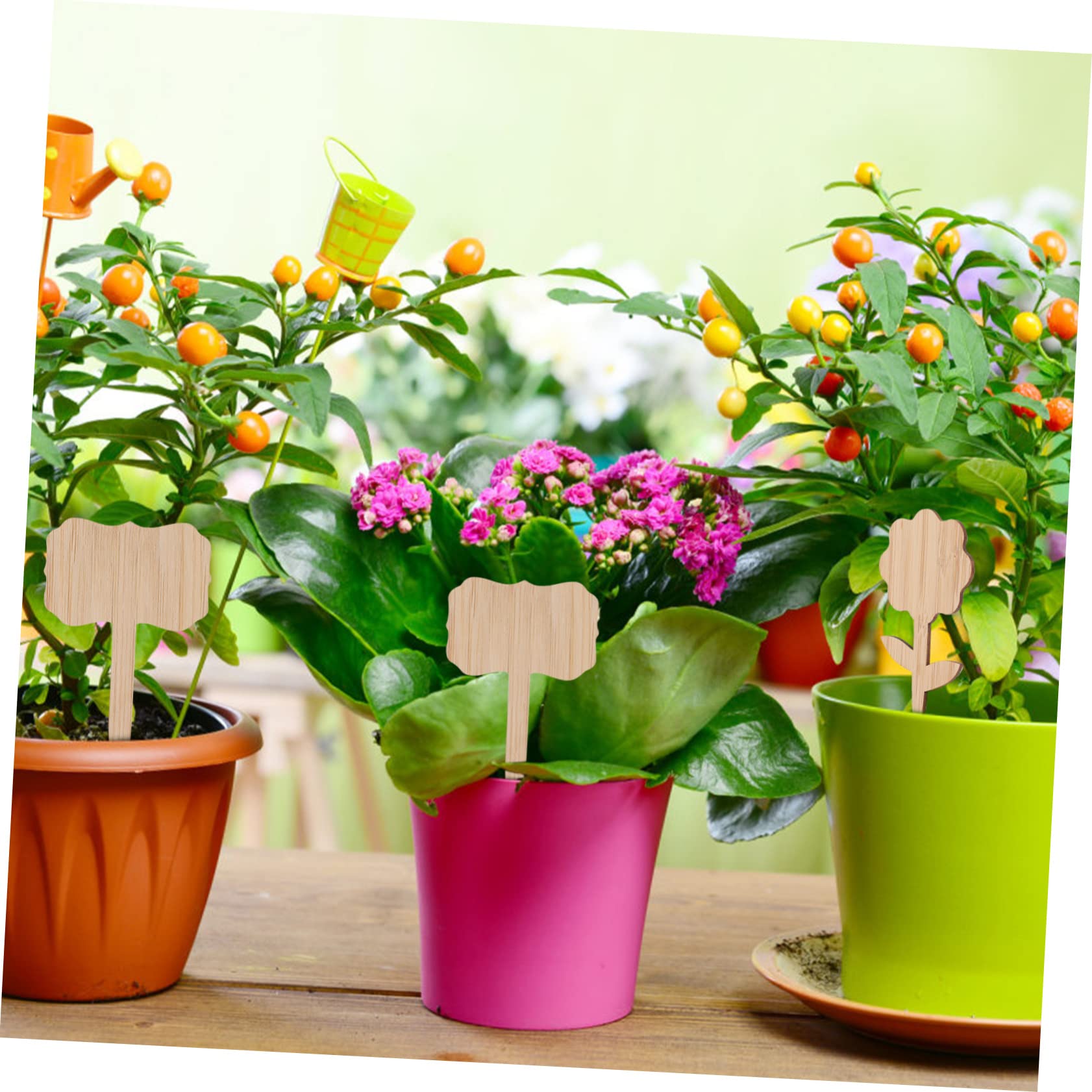 BESPORTBLE Lot De 4 Étiquettes Pour Plantes De Pépinière Étiquettes Naturelles Faciles À Installer Pour La Décoration De Jardin 40 Pièces X 4